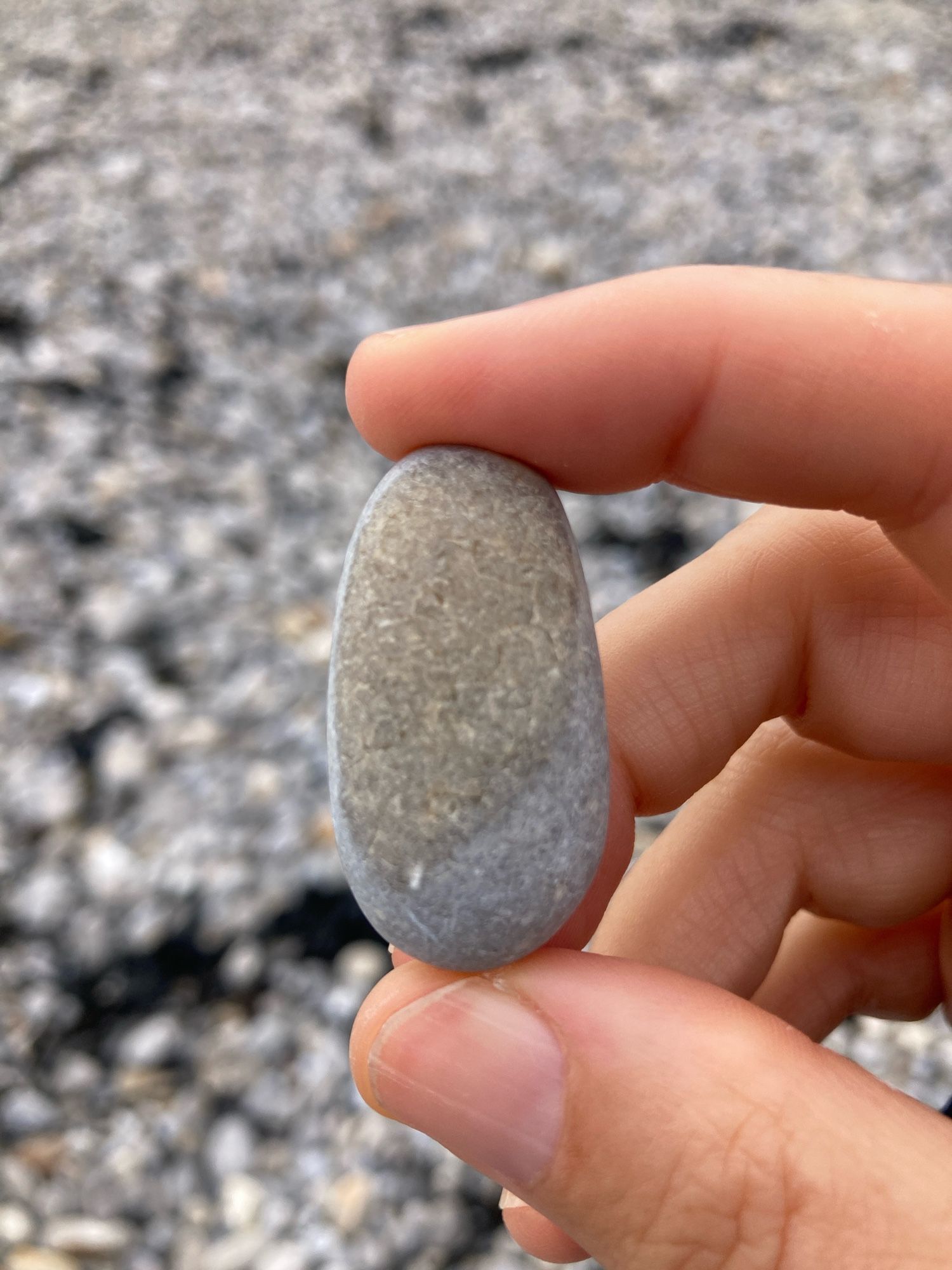 A hand holds a small, oval, grey beach pebble with a large beige area. The backdrop is a blurry rocky beach.