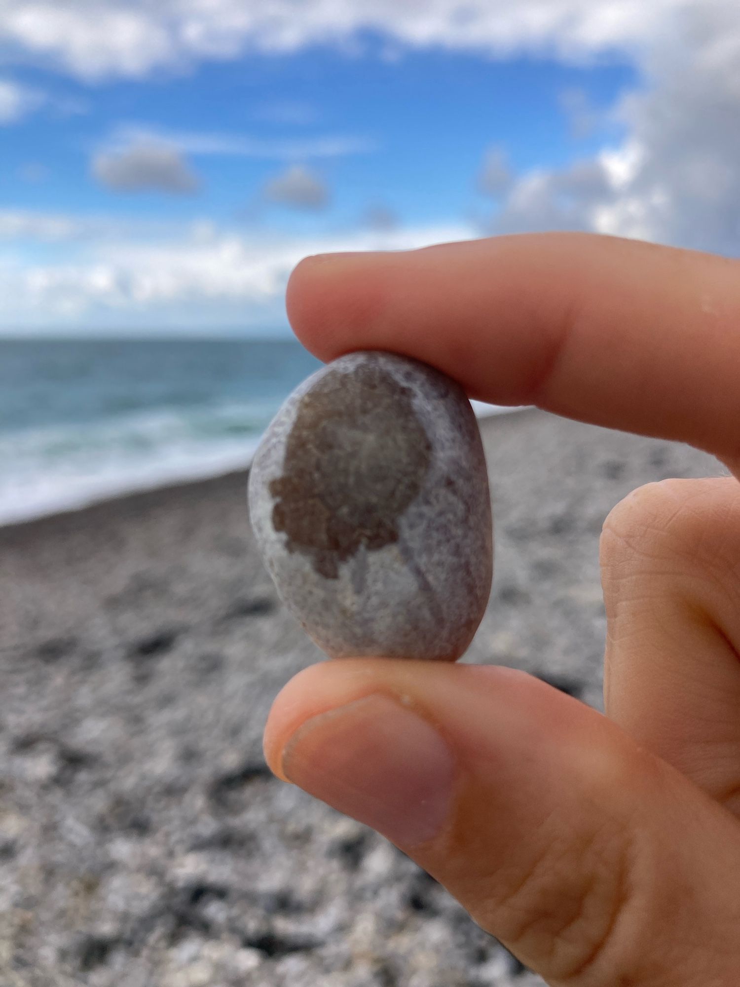 A hand holds a small, ovoid beach pebble, light grey with a large dark patch. The backdrop is a rocky beach, the sea, the sky.