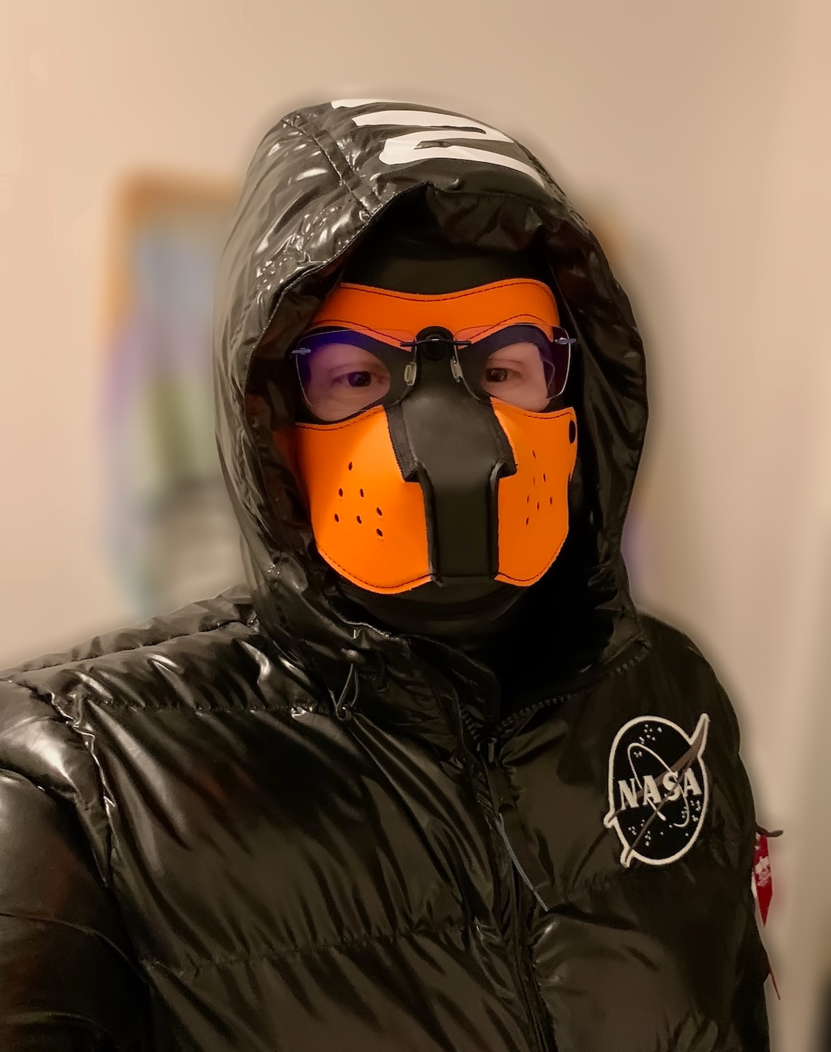 Fox with orange puppy mask in black shiny puffer jacket from Alpha Industries with hoodie on. The jacket has a NASA badge on the left shoulder front and a NASA print in big white letters on the top of the hoodie.