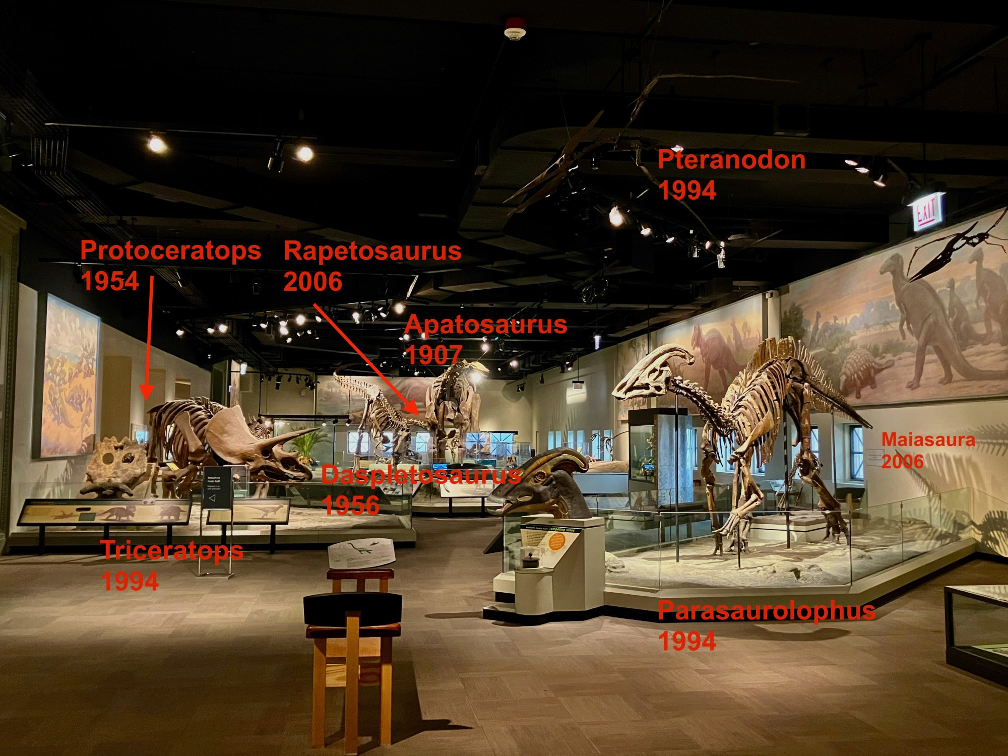 Apatosaurus: 1907
Protoceratops: 1954
Daspletosaurus: 1956
Triceratops: 1994
Pteranodon: 1994
Parasaurolophus: 1994
Maiasaura: 2006
Rapetosaurus: 2006