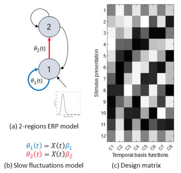 Detail of the poster abstract. (a) Picture of a neural mass model with 2 interlinked brain regions, (b) Formulae for a design matrix X that scales connection strengths beta over time. (c) Illustration of a design matrix using that uses DCT basis functions to capture slow modulation of connection strengths. Medrano et al. 2024