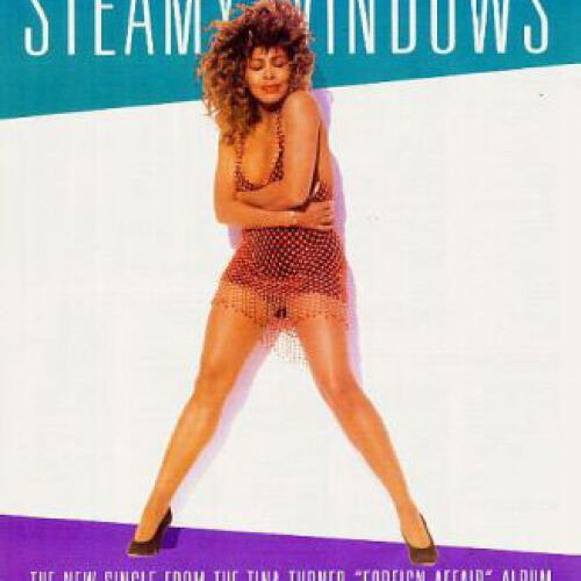 Cover afbeelding van het nummer Steamy Windows van Tina Turner