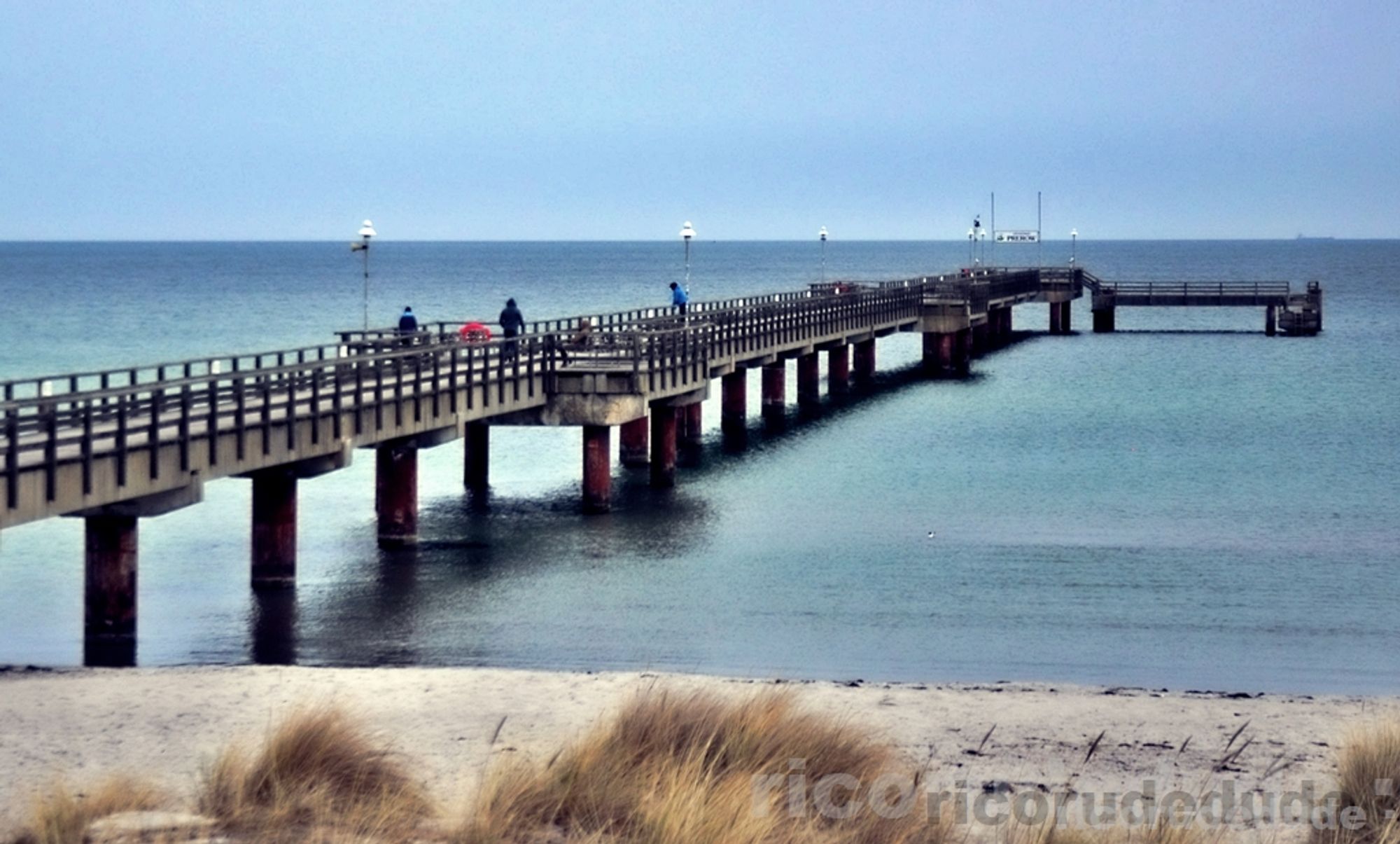 FOTO eigen

Blick von einer Ostseedüne auf das Meer und die Seebrücke von Prerow.