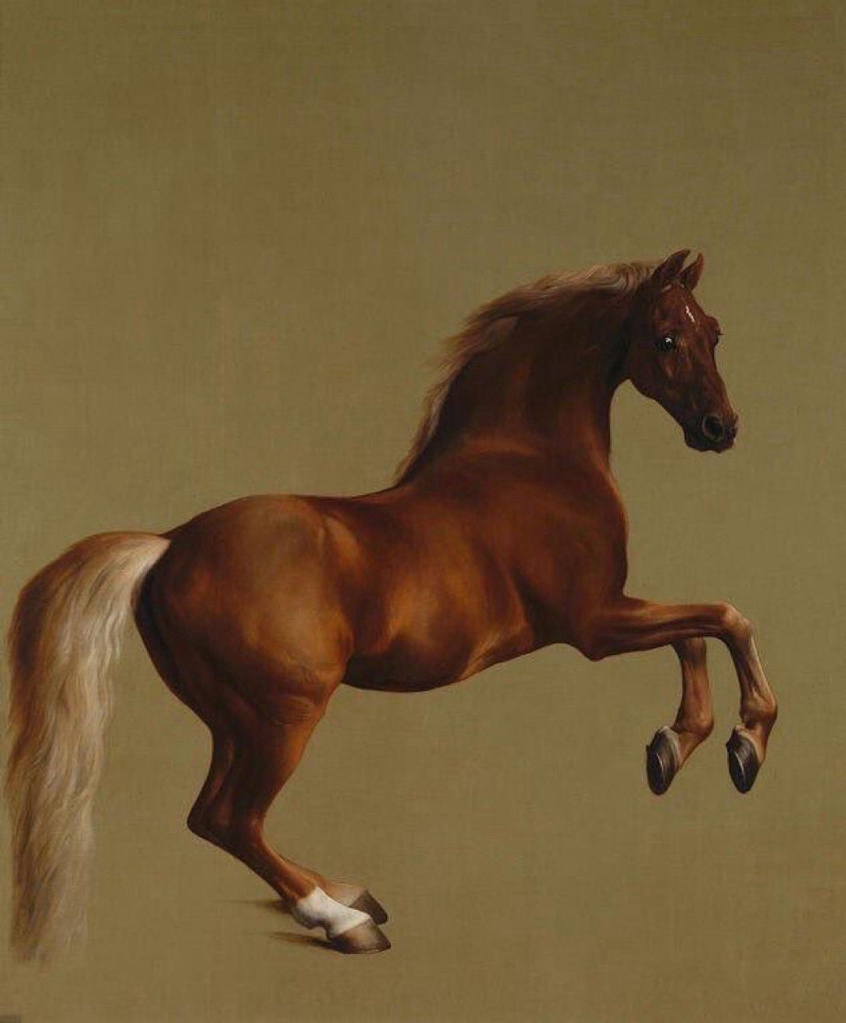 Portrait of Whistlejacket, acclaimed 18th Century thoroughbred racehorse, owned by the Marquess of Rockingham & mentioned in Goldsmith’s She Stoops to Conquer; painted life-size c. 1762 by George Stubbs, English equine artist, born #OTD 1724.
@NationalGallery