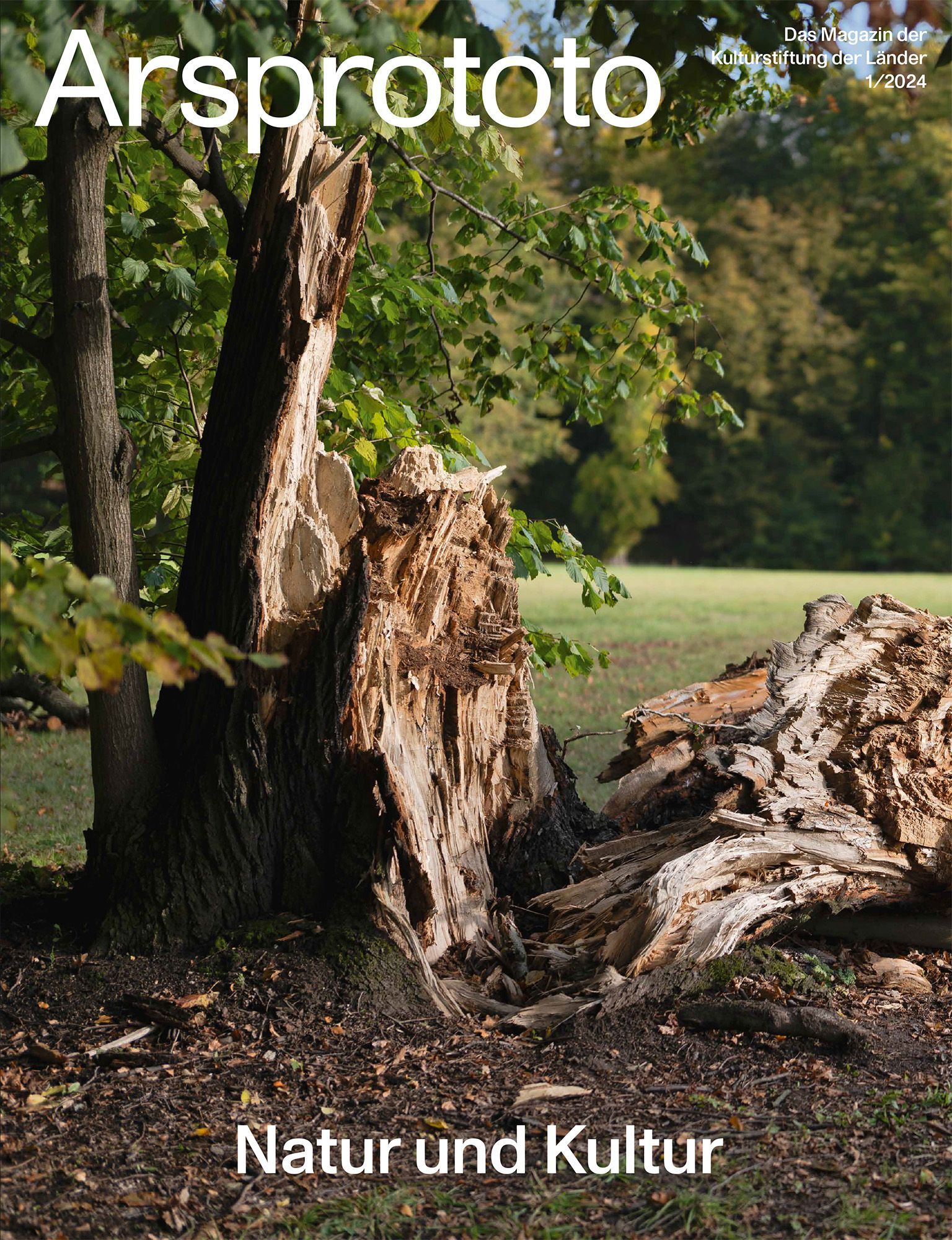 Arsprototo: Natur und Kultur, Magazincover