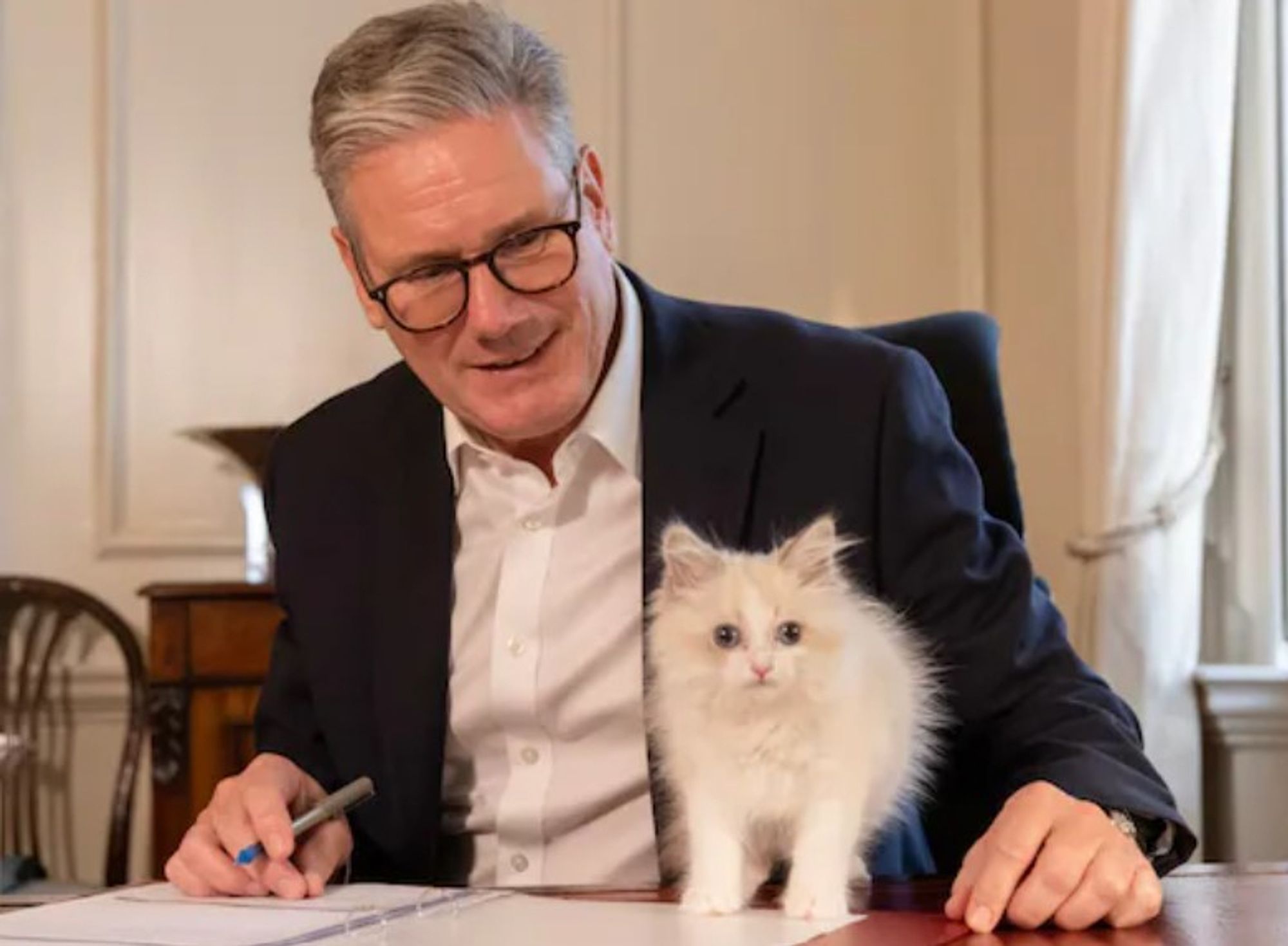 Starmer in No 10 with newly acquired Siberian kitten.