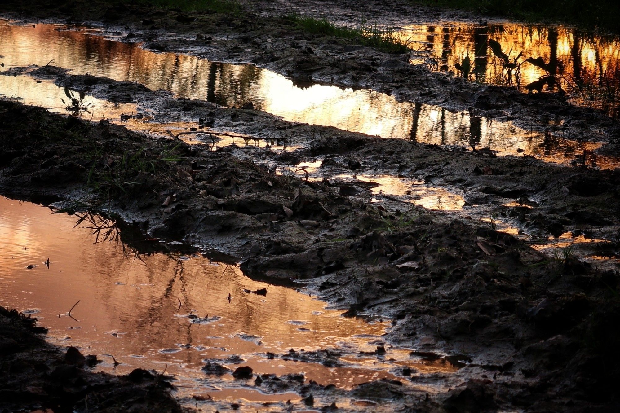 Zonsondergang weerspiegelt oranje in plassen water in tractor sporen in vette kleigrond.