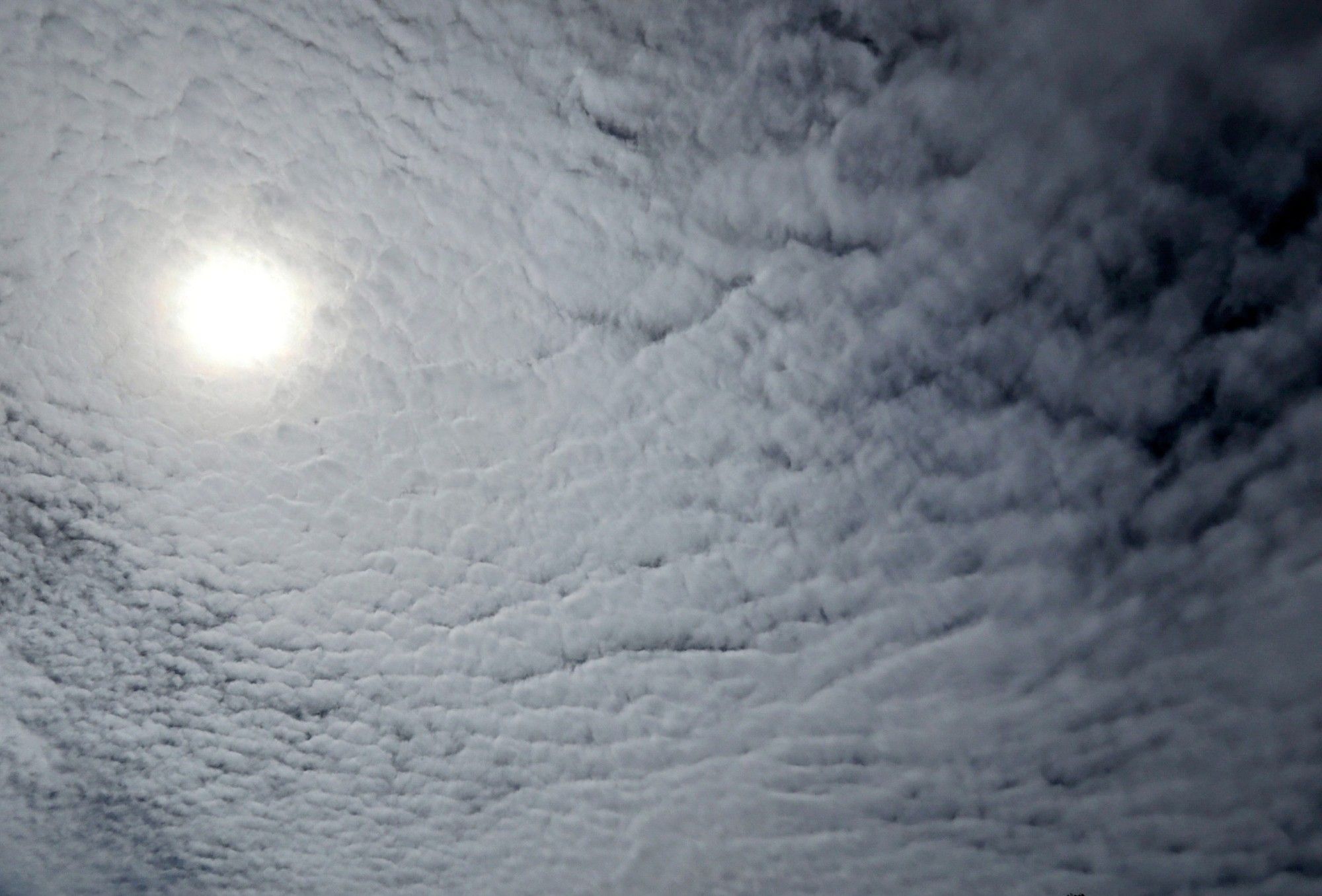 Volgens Google lens Altocumulus wolken waar de zon doorheen schijnt. Witte wolken in blauwe lucht.