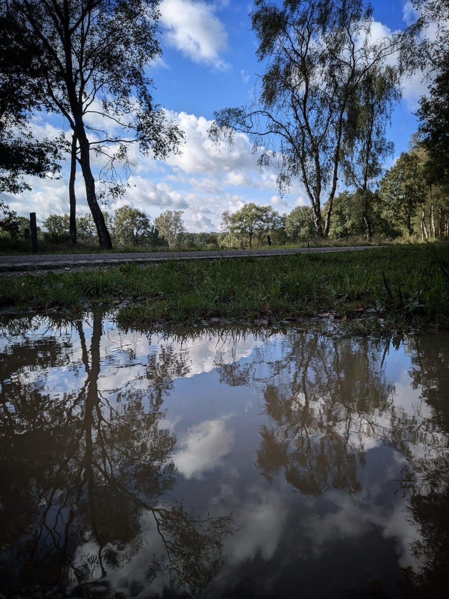 Grote plas regenwater weerspiegelt de blauwe lucht met witte wolken en bomen.