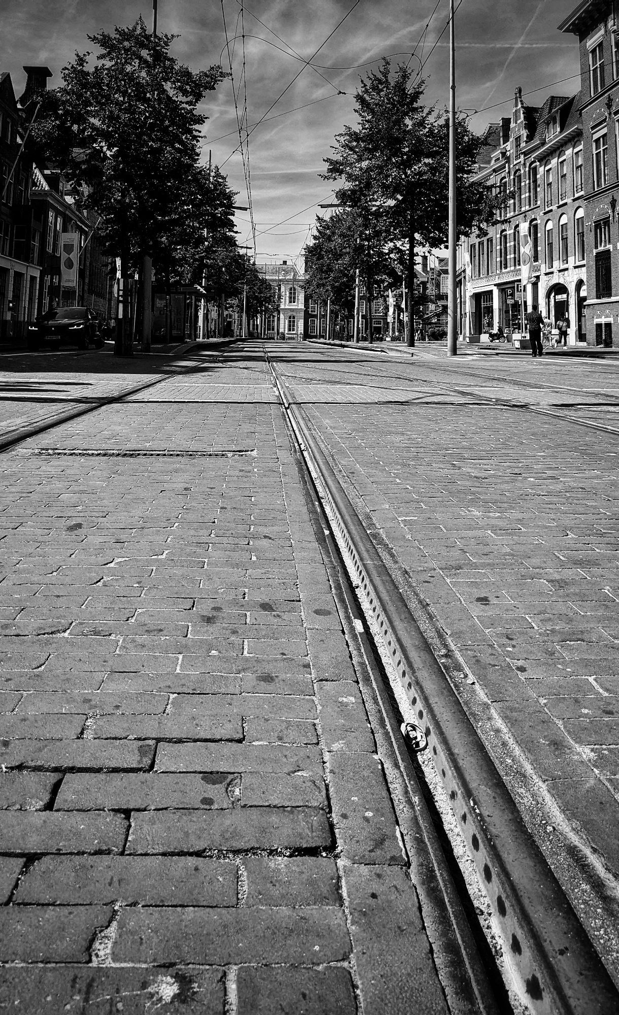 Tramrails in Den Haag richting de Kneuterdijk. Bomen en oude statige panden langs de weg. Zwart wit.