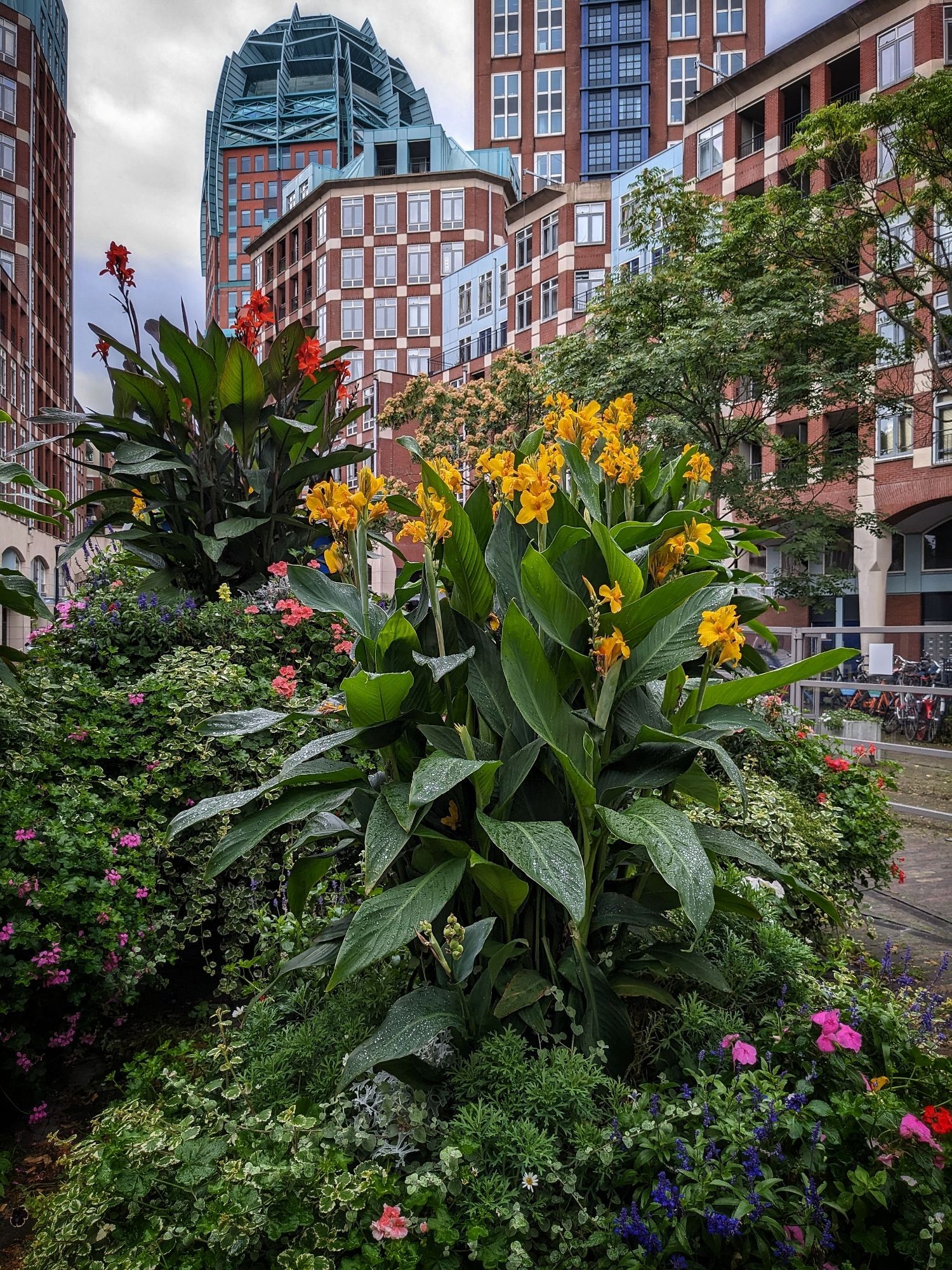 Groot bloemen arrangement tussen kantoren en woningen.