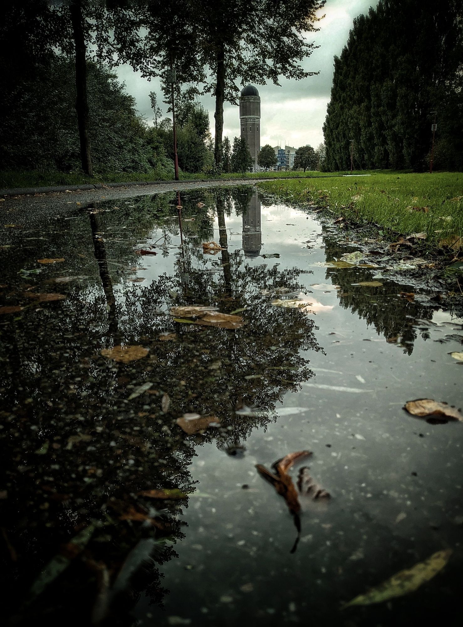 Plas water met herfstbladeren in park. Weerspiegeling van bomen en watertoren in de verte.