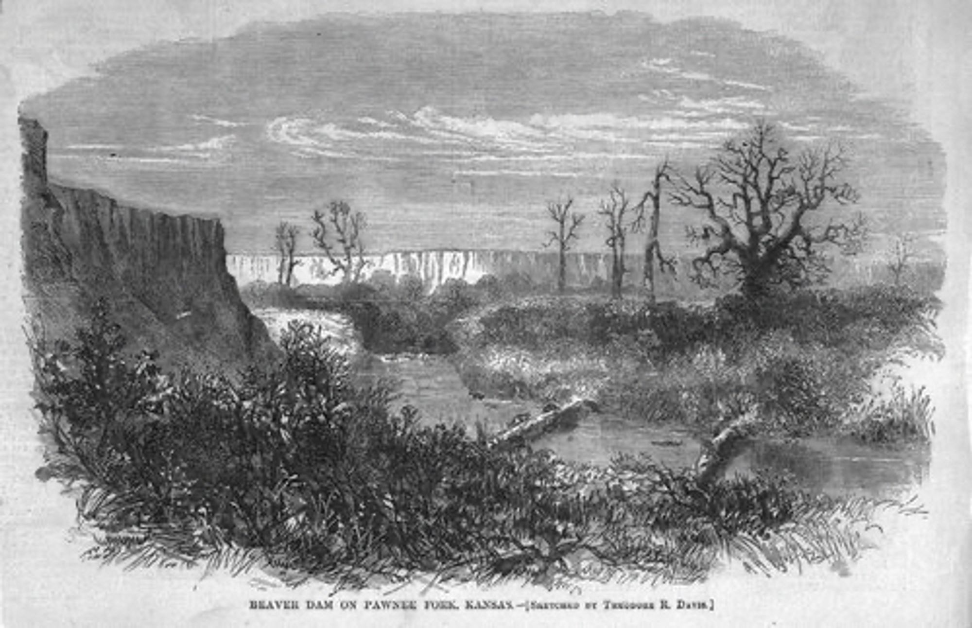 Beaver dam on the Pawnee River, KS 

Harper’s Weekly 1867 thanks to Kansas Memory