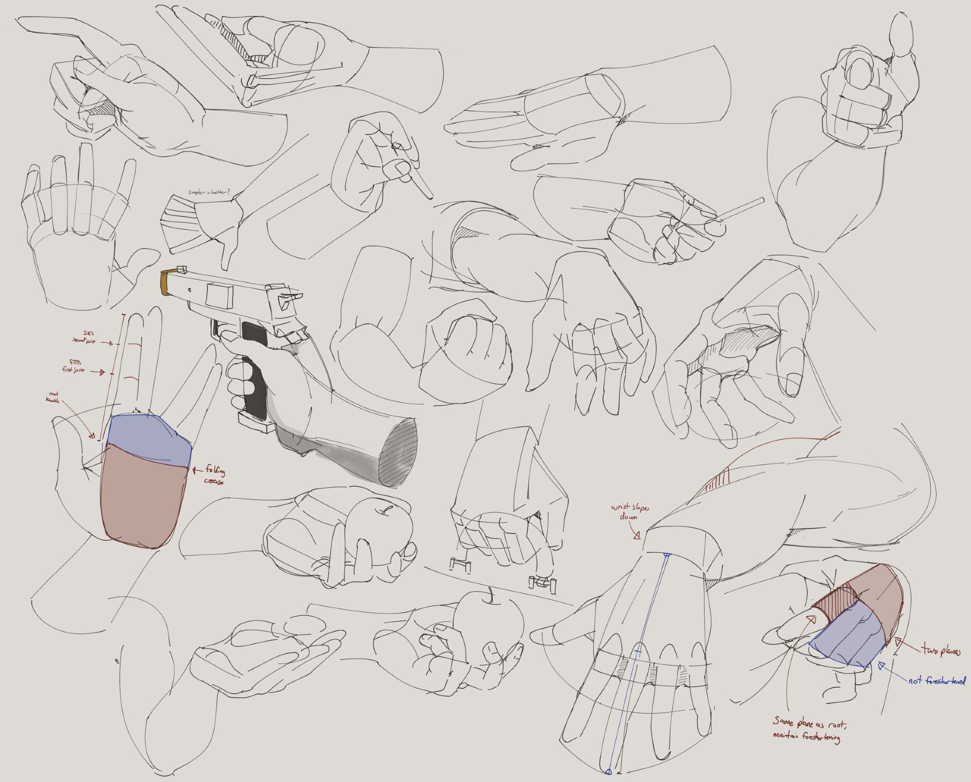 Various attempts at studying hands and forearm anatomy using a thin lined digital marker.