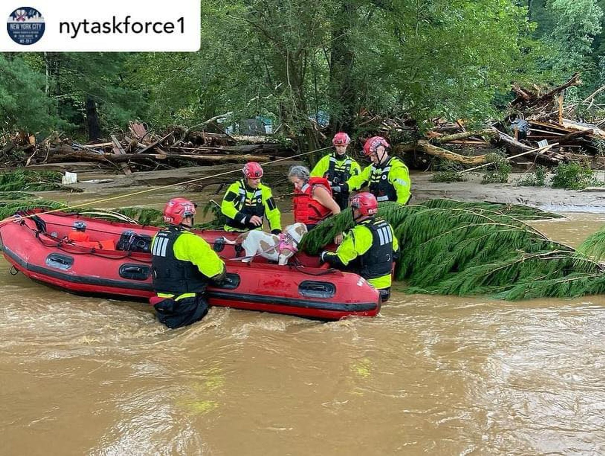 Search and rescue operation by the New York team in Western North Carolina.