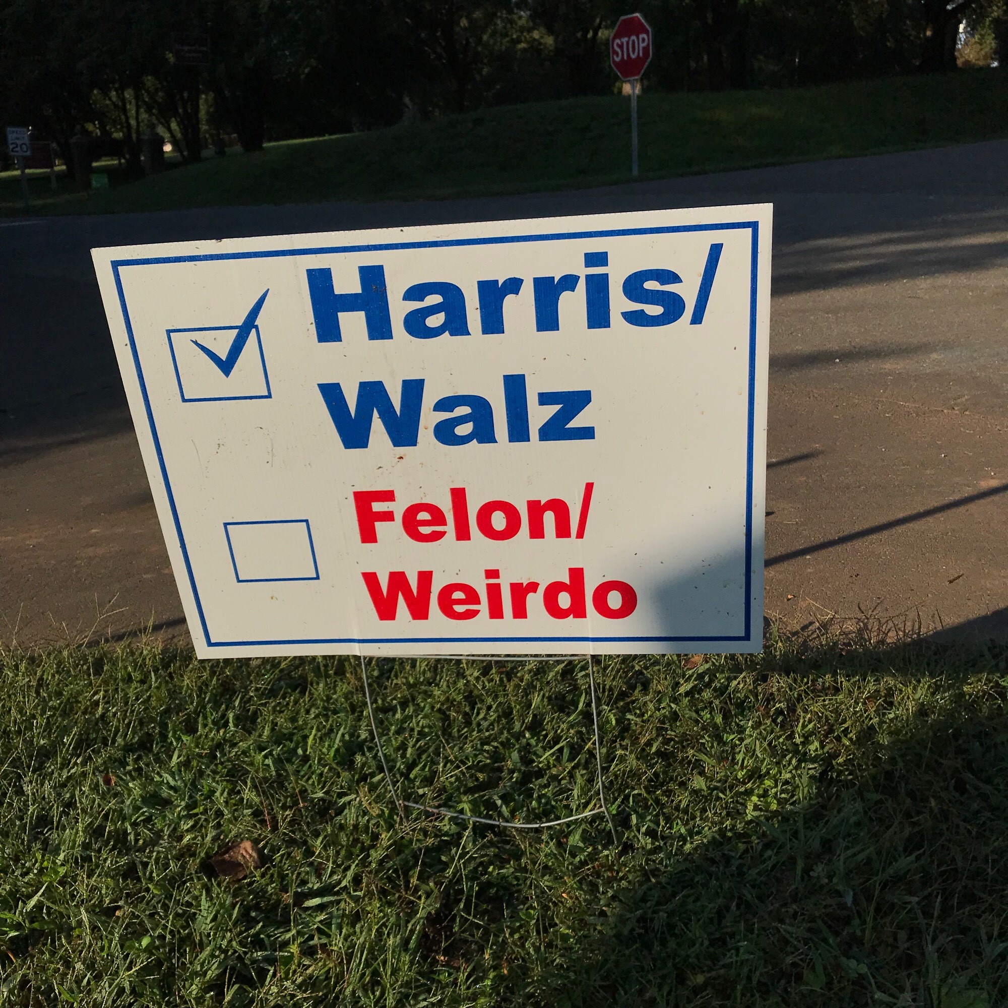 A campaign sign with a check mark for Harris/Walz and no check mark for Felon/Weirdo.