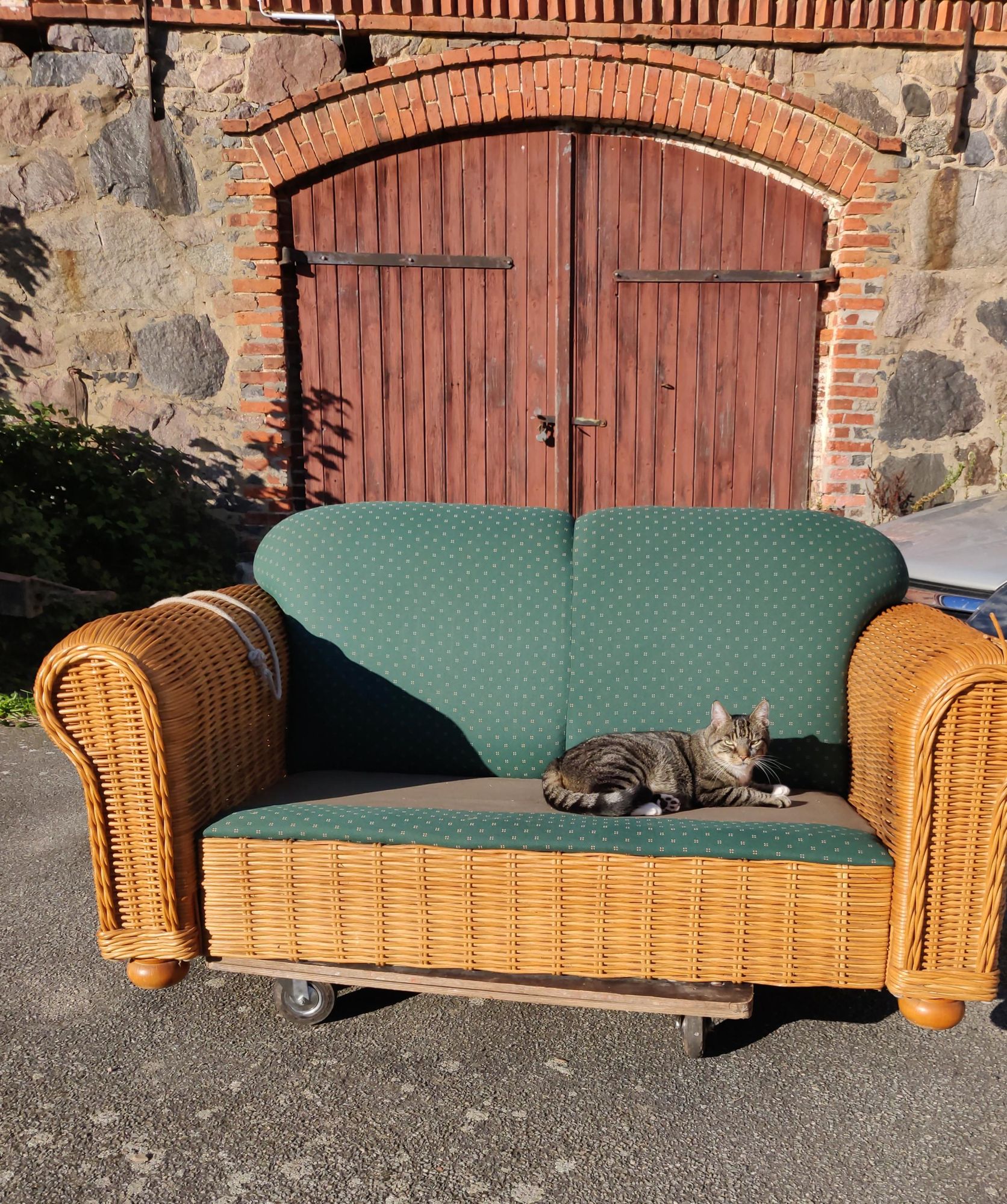 Eine Katze liegt auf einem Korbsofa, dessen Polster grün bezogen sind. Die Sonne scheint auf das Sofa. Das Sofa steht auf einem Rollbrett. Im Hintergrund ein Scheunentor. Die Szene sieht sehr entspannt aus.