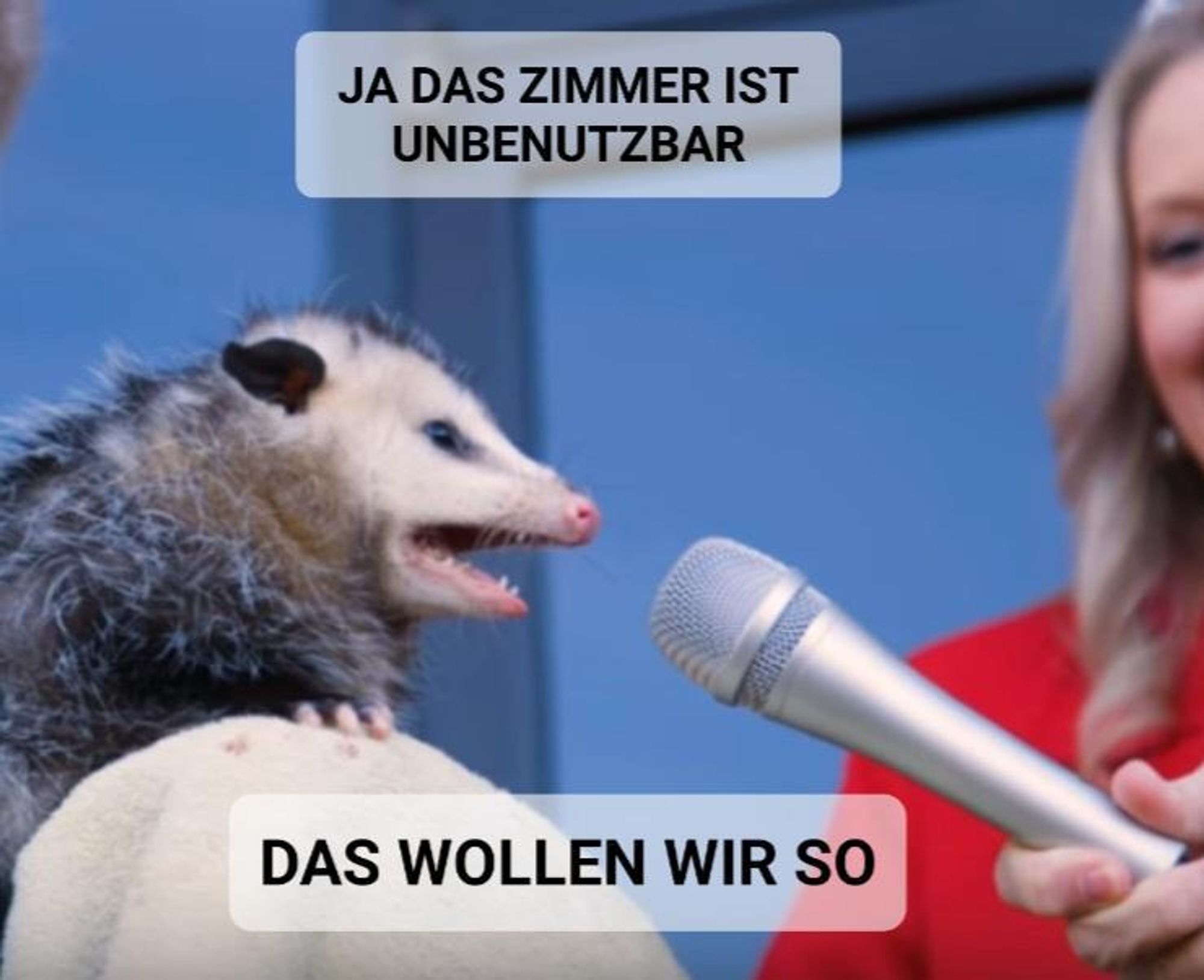 Meme mit dem Otter (?) der von einer Reporterin ein Mikrofon hingehalten bekommt, auf dem Bild der Text "ja das Zimmer ist unbenutzbar das wollen wir so"