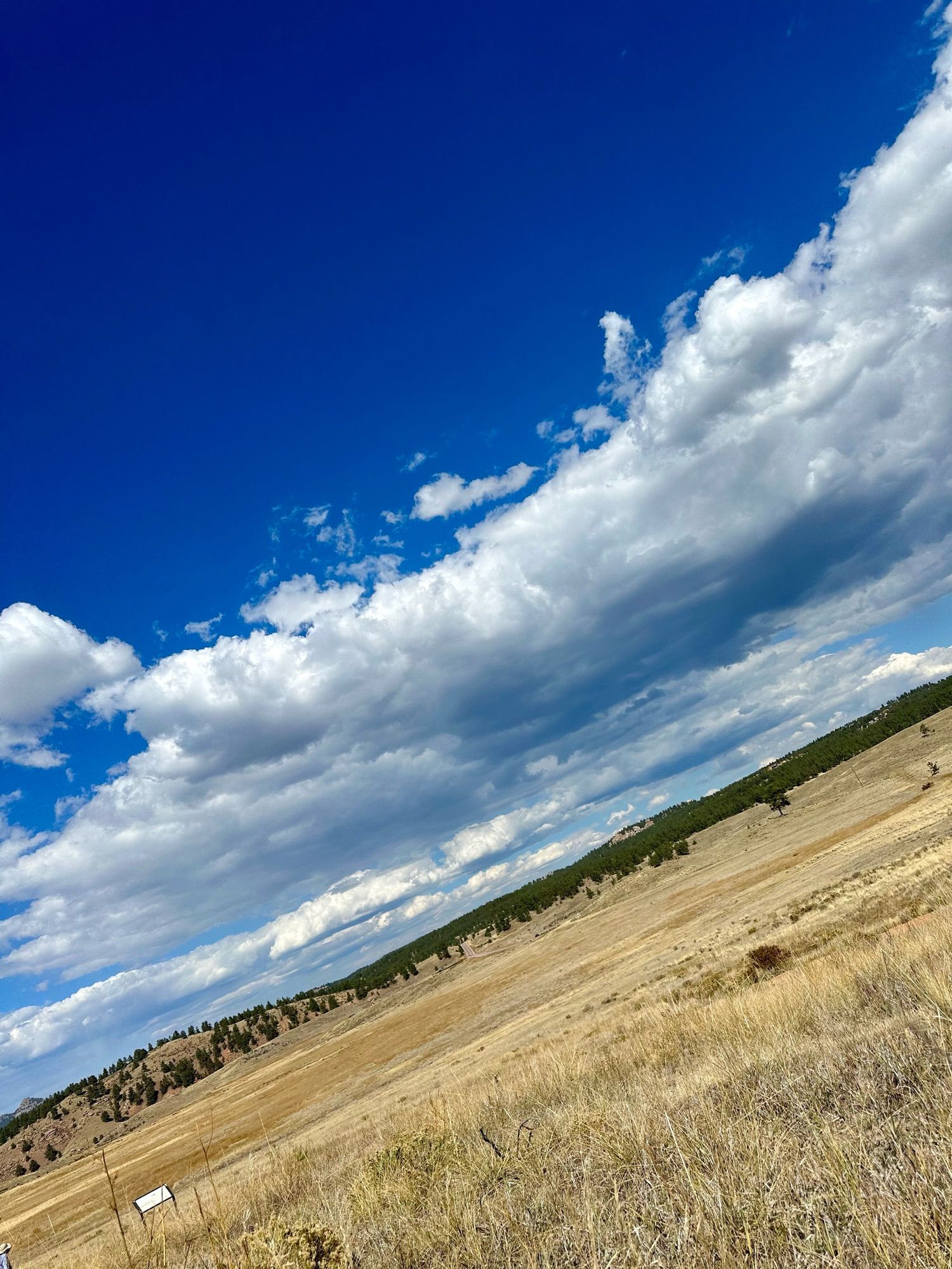 Alpine meadow of golden grass and brush that used to be a petrified wood forest before it became an ancient lake full of fossils. Beyond it are mountains, banks of clouds, and an almost navy blue sky. 

Florissant Fossil Beds National Park, Colorado.