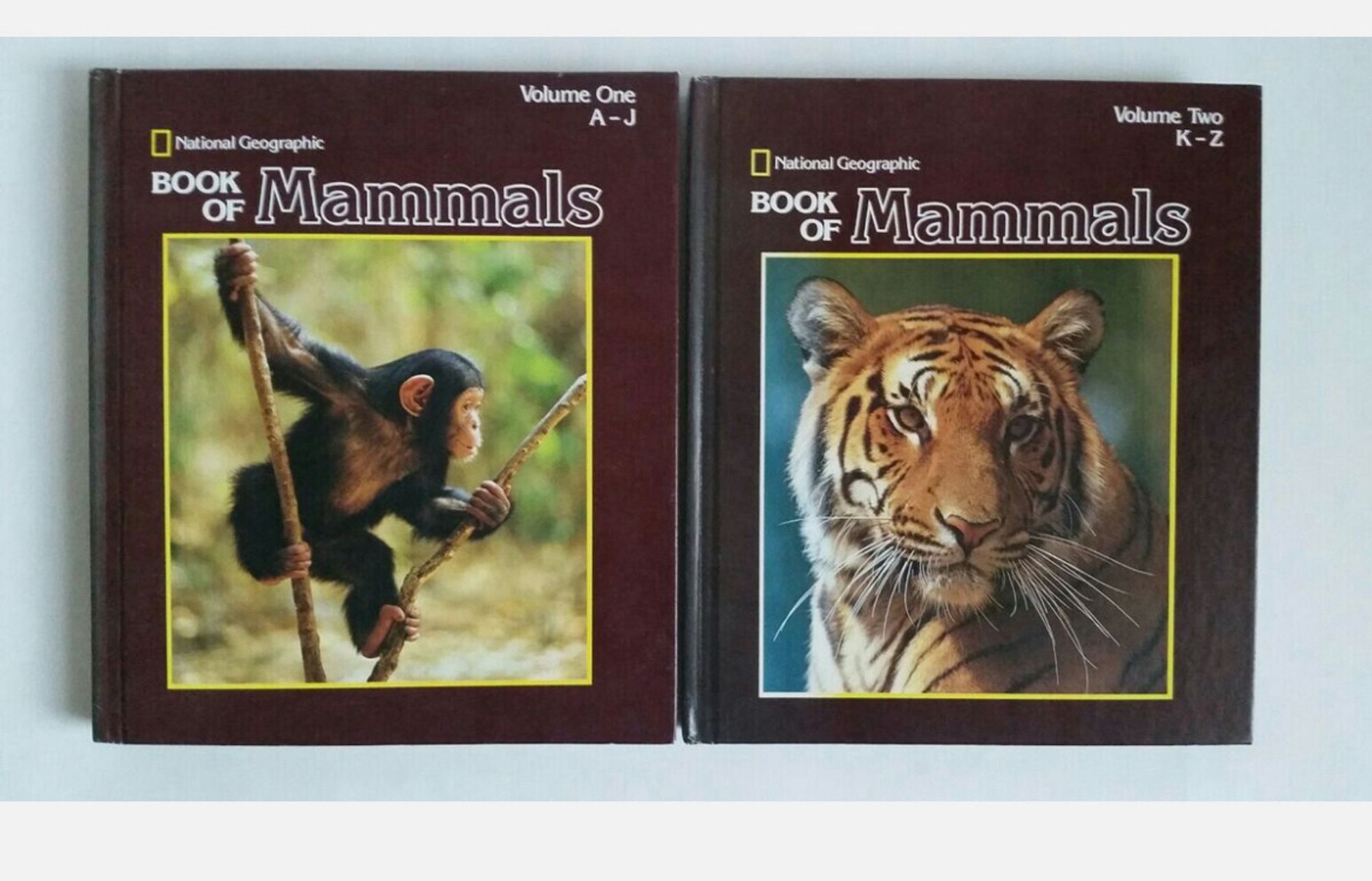 Two volumes of the Book of Mammals by National Geographic, one with a young chimpanzee on the cover and the other has a tiger. They are a very distinguished brown color.