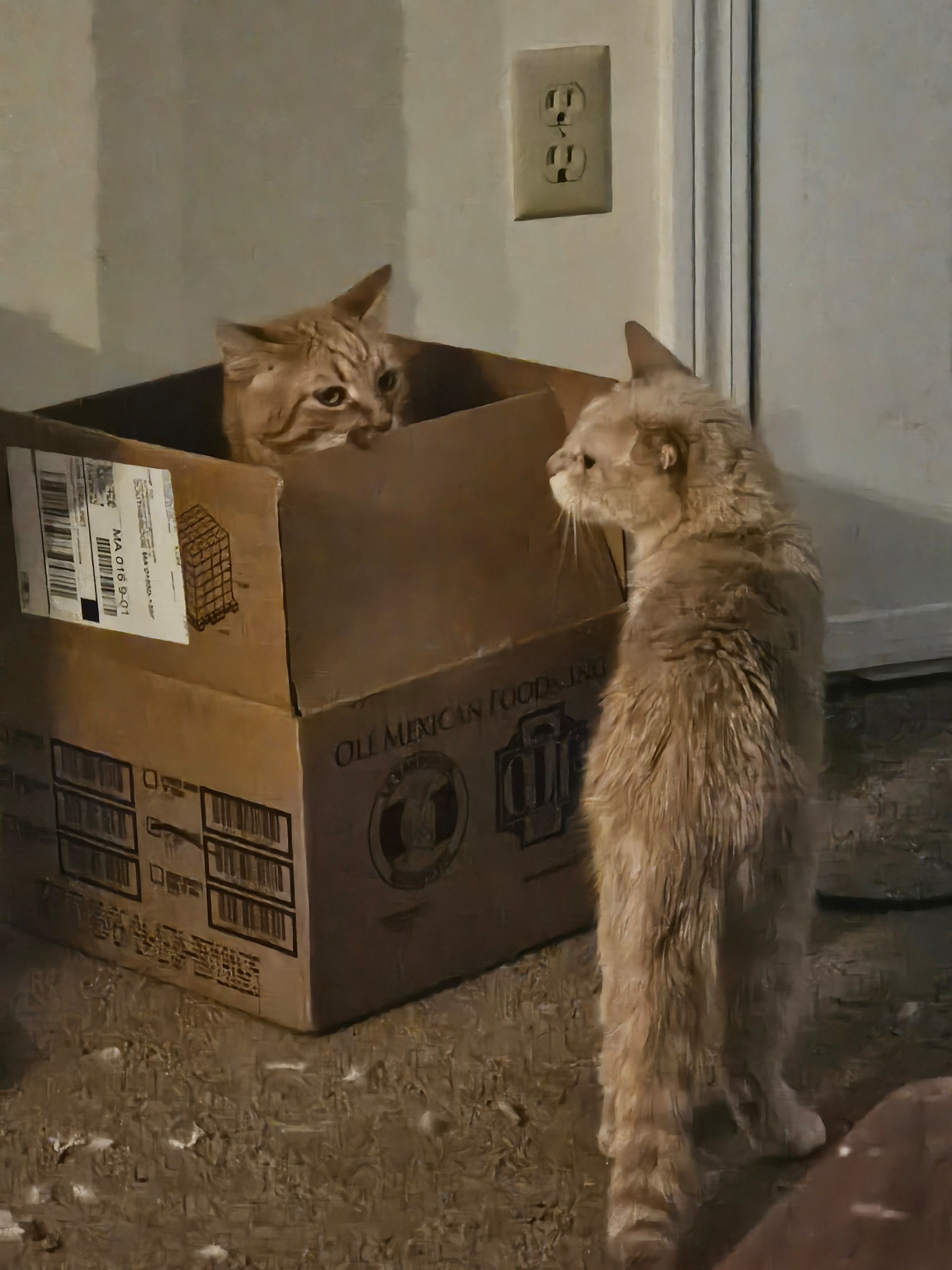 One cat in a box staring annoyed over the lip at another cat looking curiously at the box