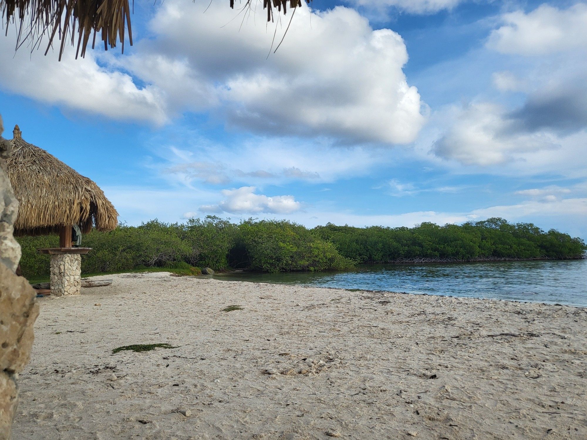 Beach, mangroves, water, nice fluffy clouds in the very blue sky