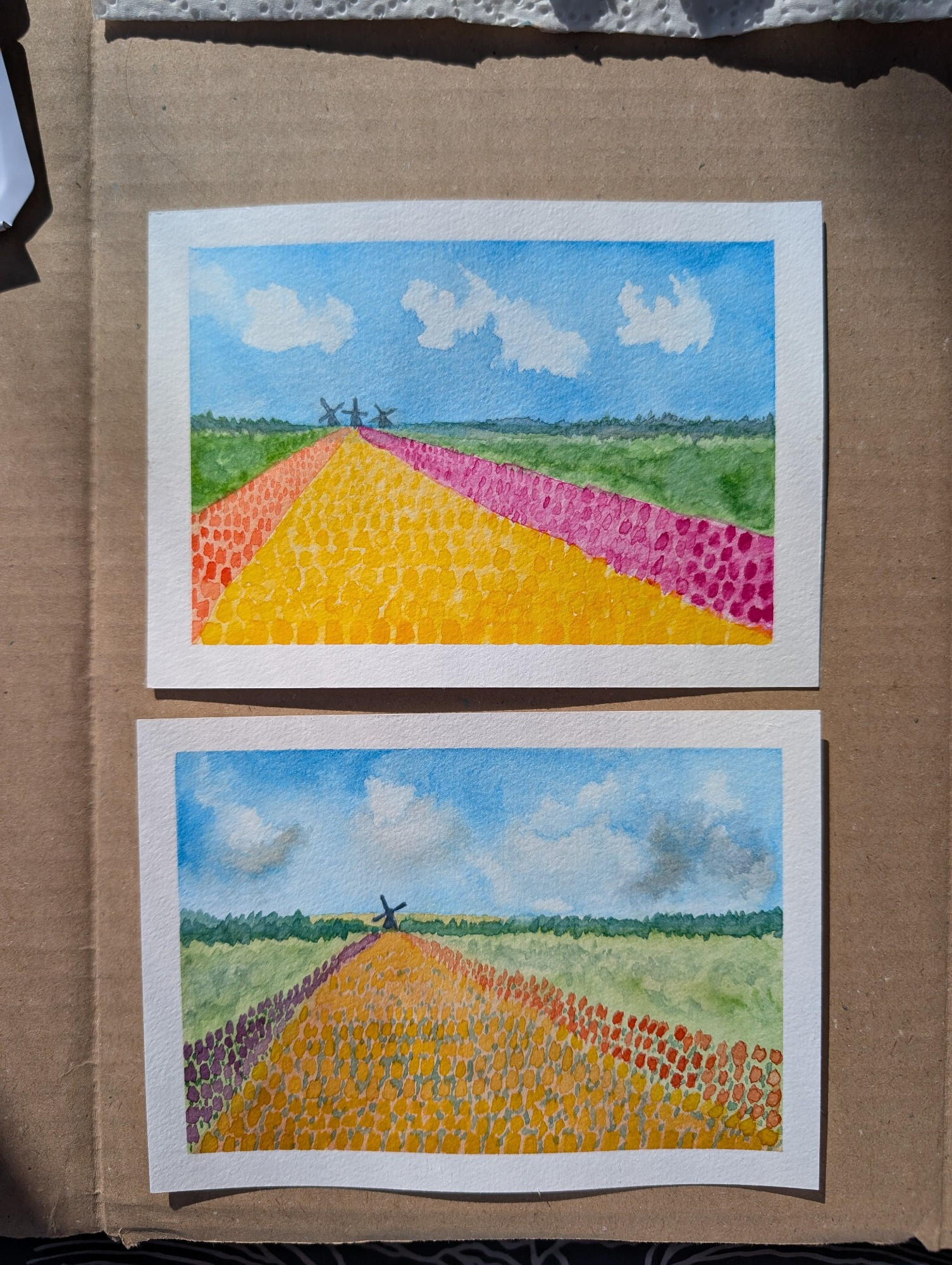 Twee aquarel landschappen op A6 100% cellulose papier boven elkaar op een karton. Het is hetzelfde beeld, alleen op verschillende manieren geschilderd.
Je ziet een blauwe lucht met wolken. In de verte een molen(s). En op de voorgrond een drie kleuren bollenveld met gras aan de zijkant.
