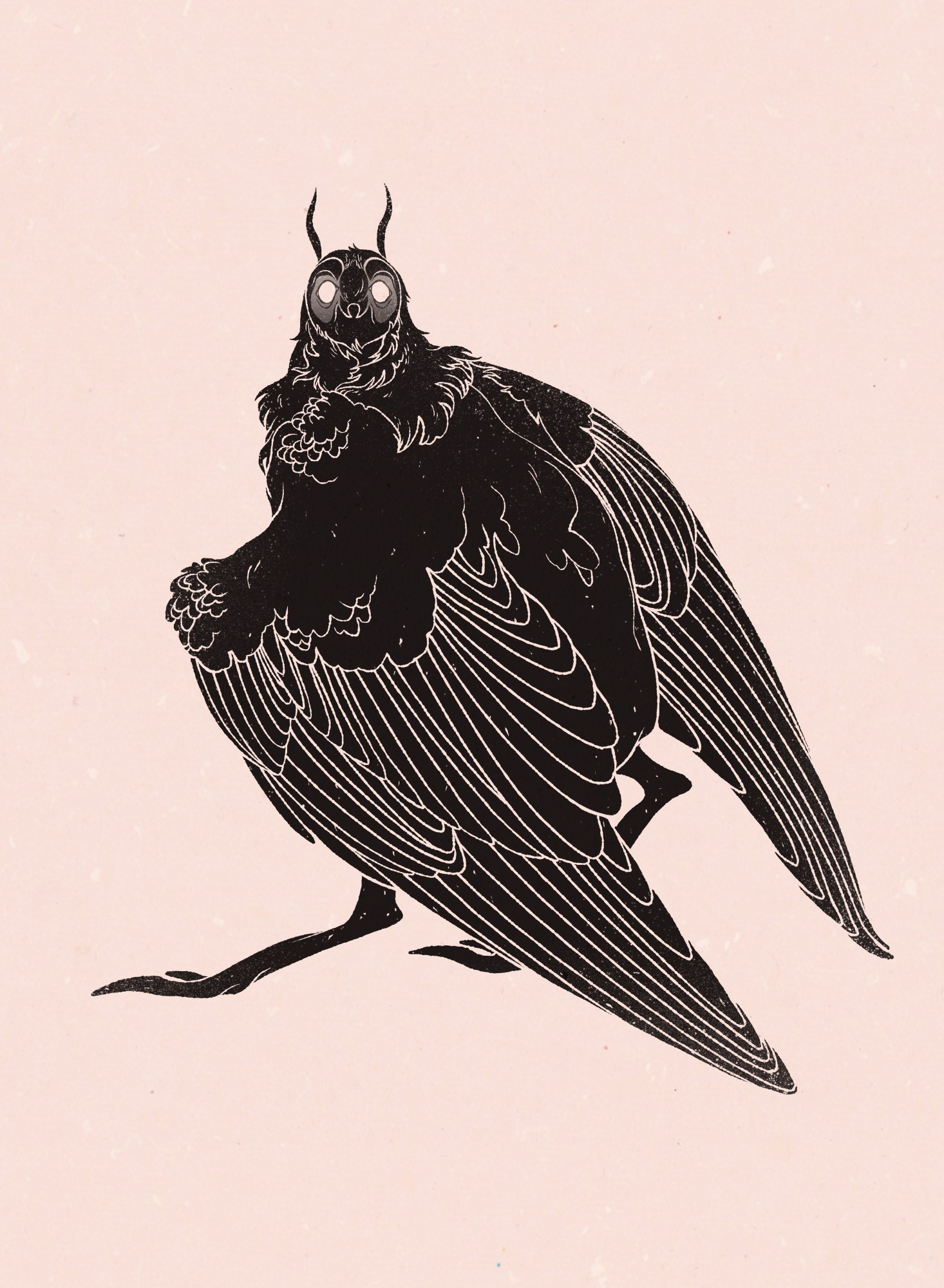 Black line drawing of a owl-like Mothman looking over its shoulder