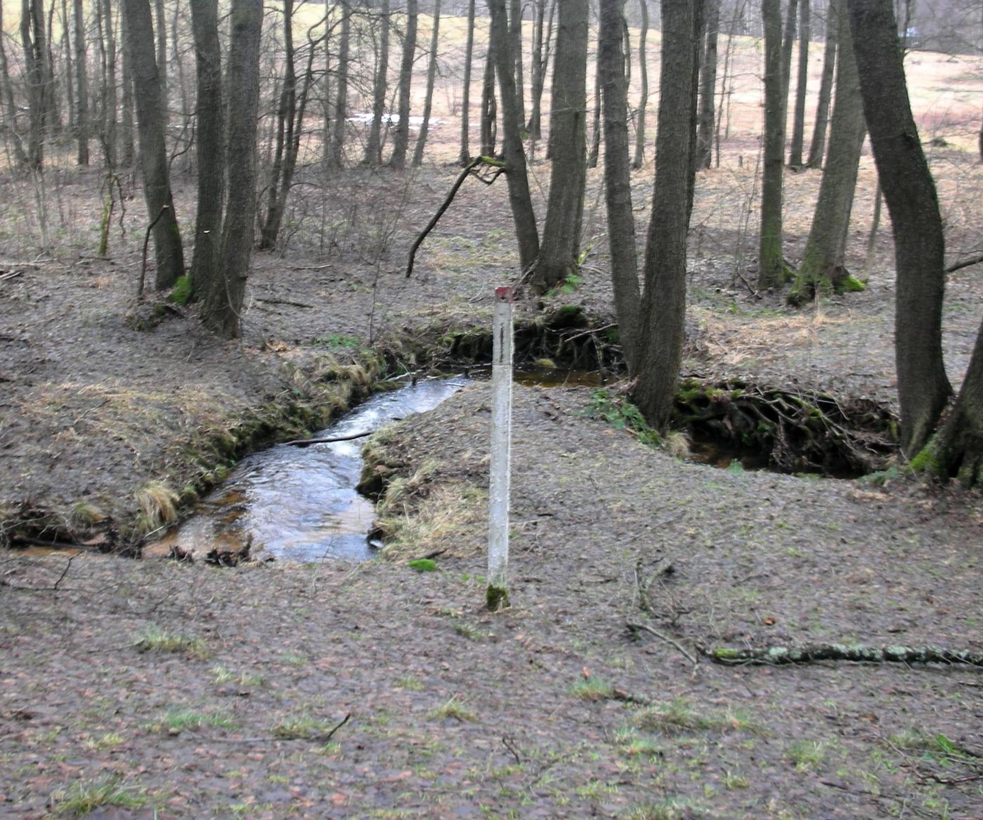 Bild zeigt einen Bach im Wald, daneben einen Grenzpfosten.