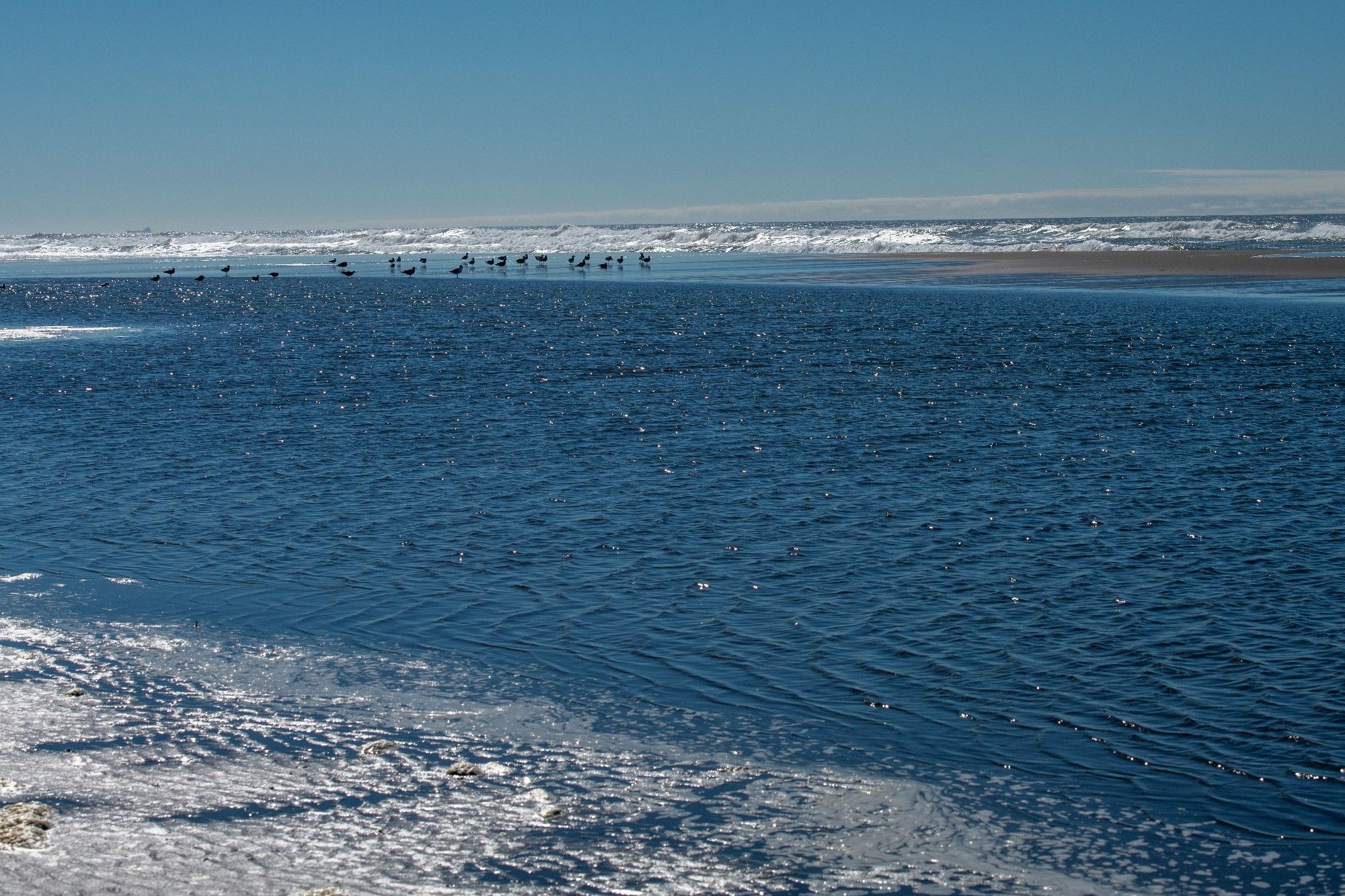 The Pacific Ocean at low tide, which has left behind a pool of deep blue water, rippled by the wind, glinting in the sun. Ocean waves can be seen in the distance, with low clouds in a light blue sky. Birds are searching for food between the pool and the rest of the ocean on a portion of higher sand, which is partially bare and partially covered by a shallow slick of water. 