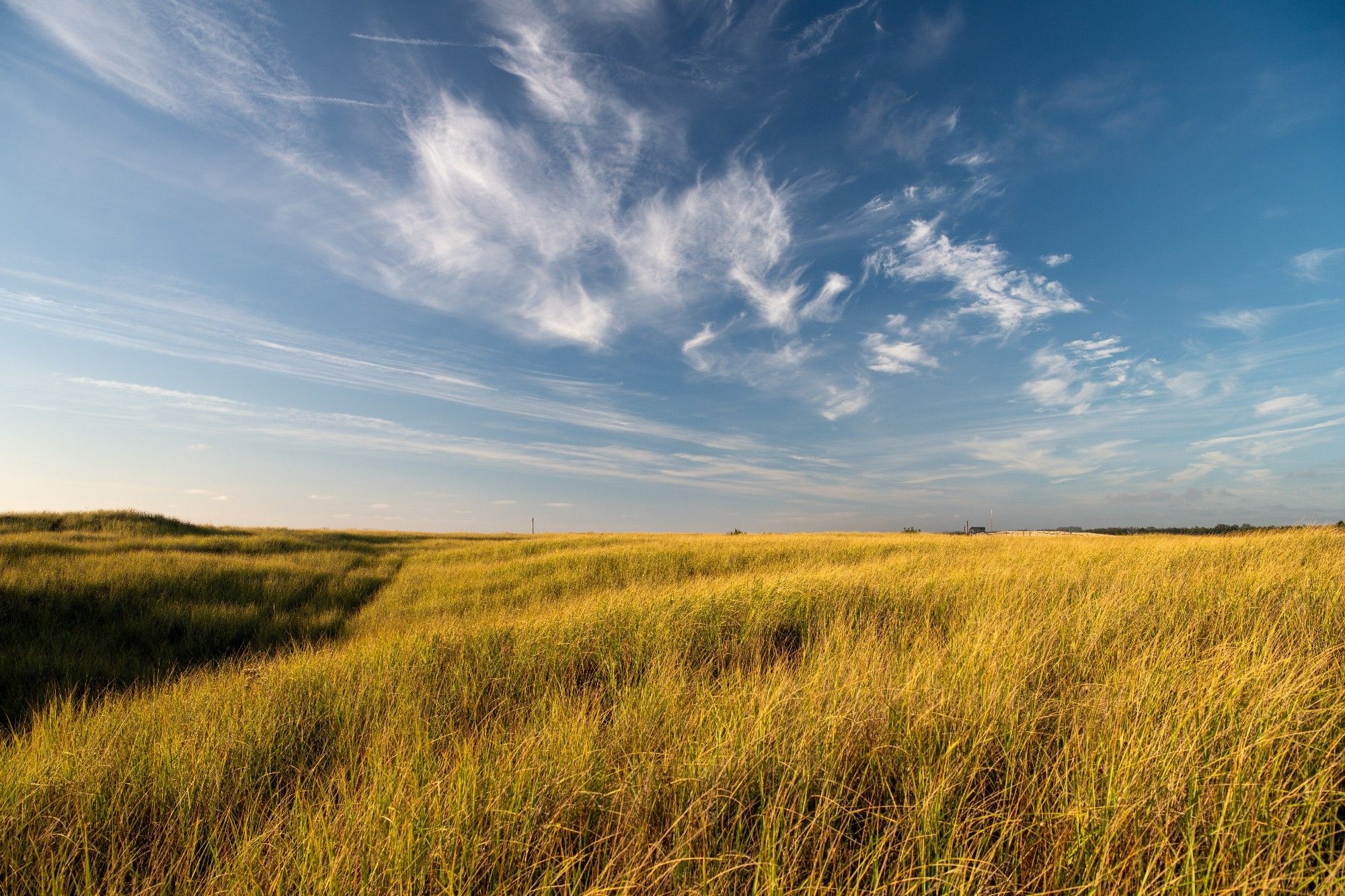 Beachgrass covered sand dunes under a blue sky with wispy clouds.