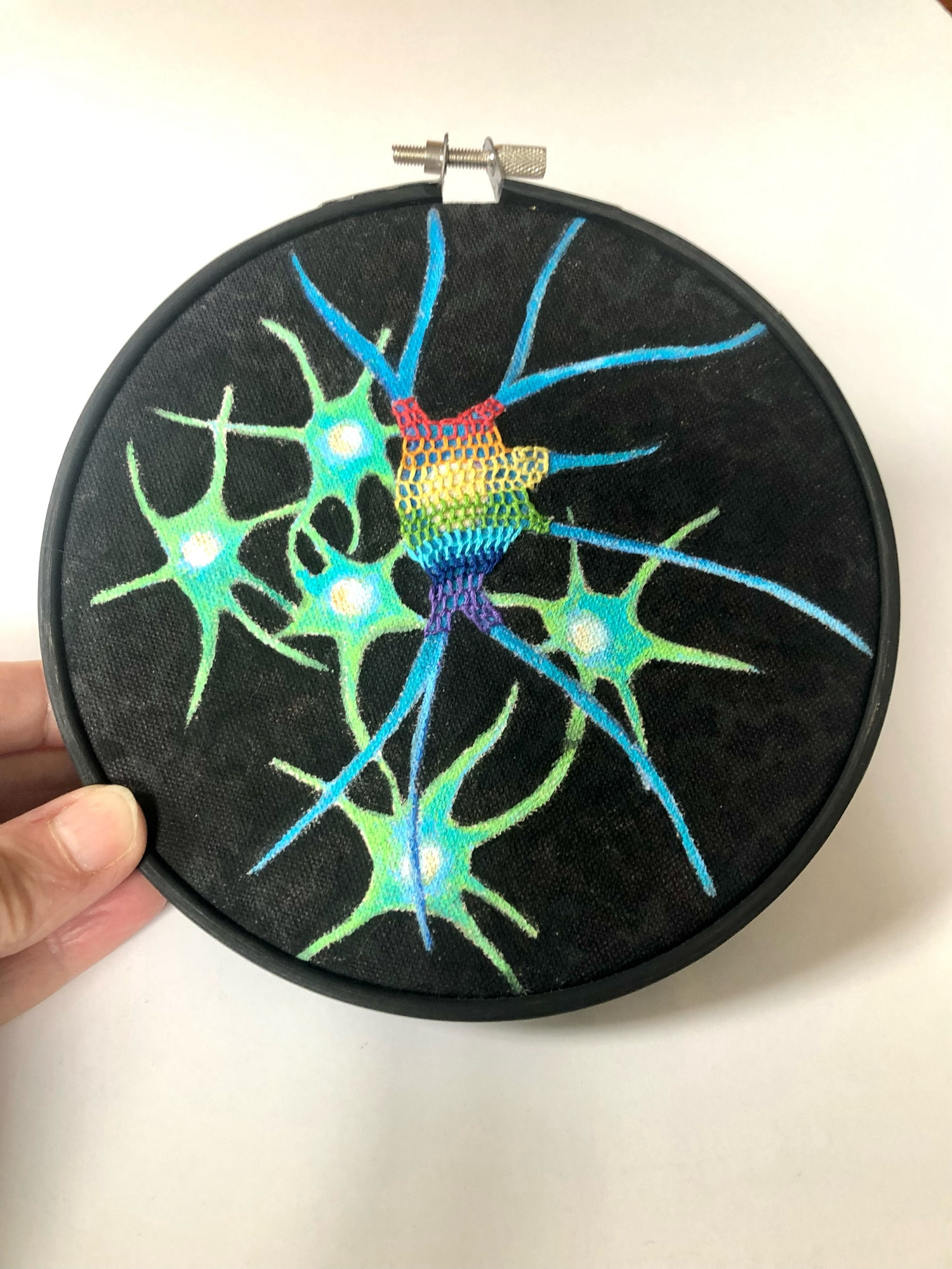 A hand holding a six inch hoop with painted neurons and embroidered perineuronal network on top in rainbow threads