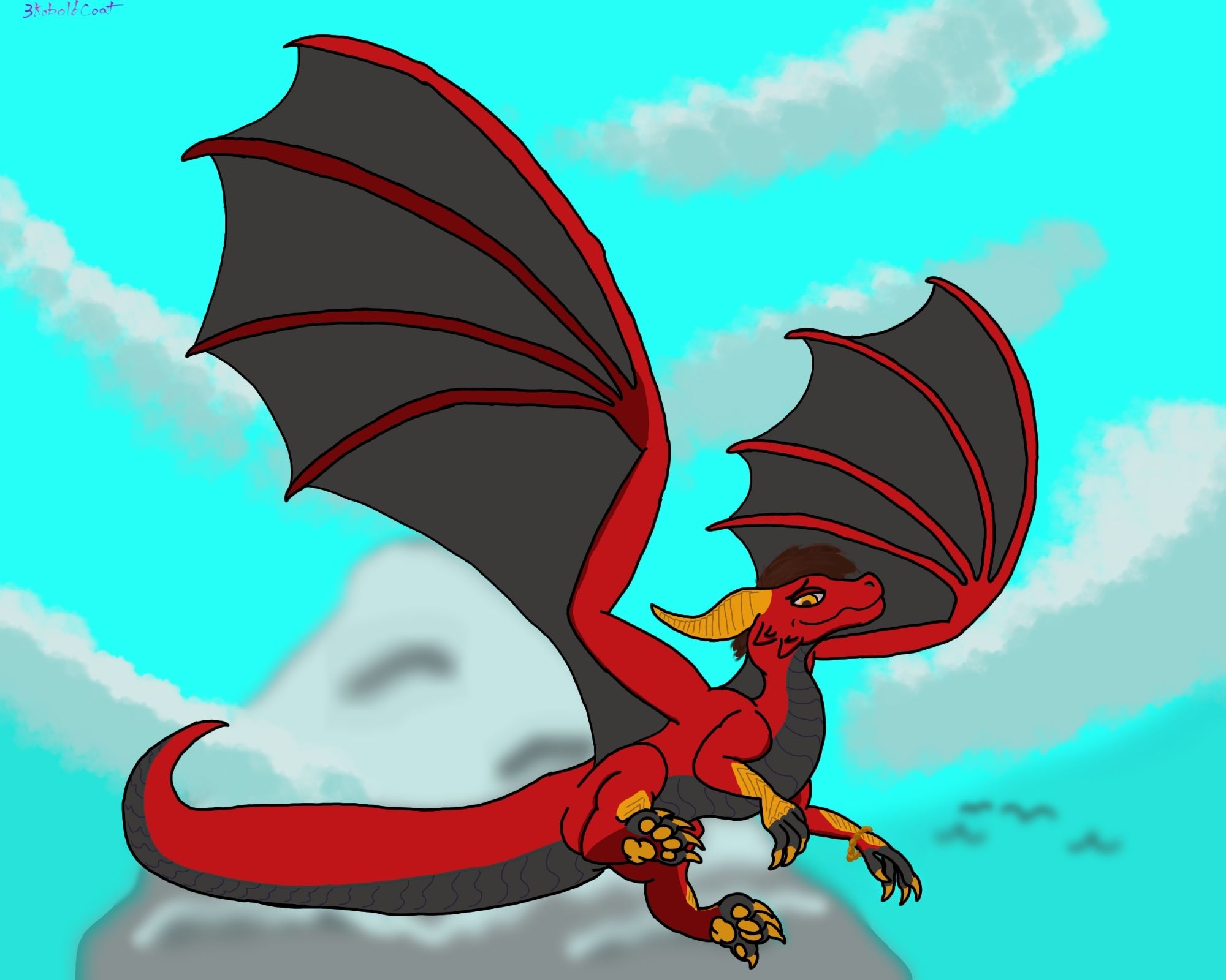 A big red dragon with yellow horns and leg scale plates, with a dark gray underbelly and seeing membranes. They frolick in the skies above you. 
We all wish we could join them