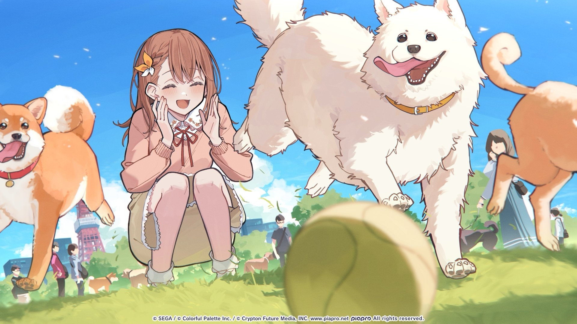 Minori crouches down, cheering on her big white dog, Samo-chan, as he chases a flyaway tennis ball.