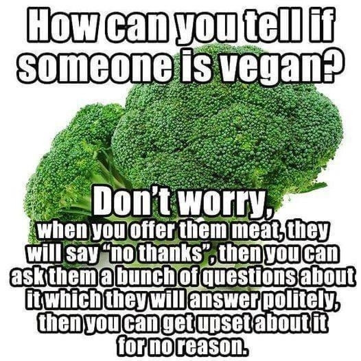 An image of a broccoli overlayed with text.

How can you tell if someone is vegan?

Don't worry, when you offer them meat, they will say "no thanks", then you can ask them a bunch of questions about it which they will answer politely, then you can get upset about it for no reason.