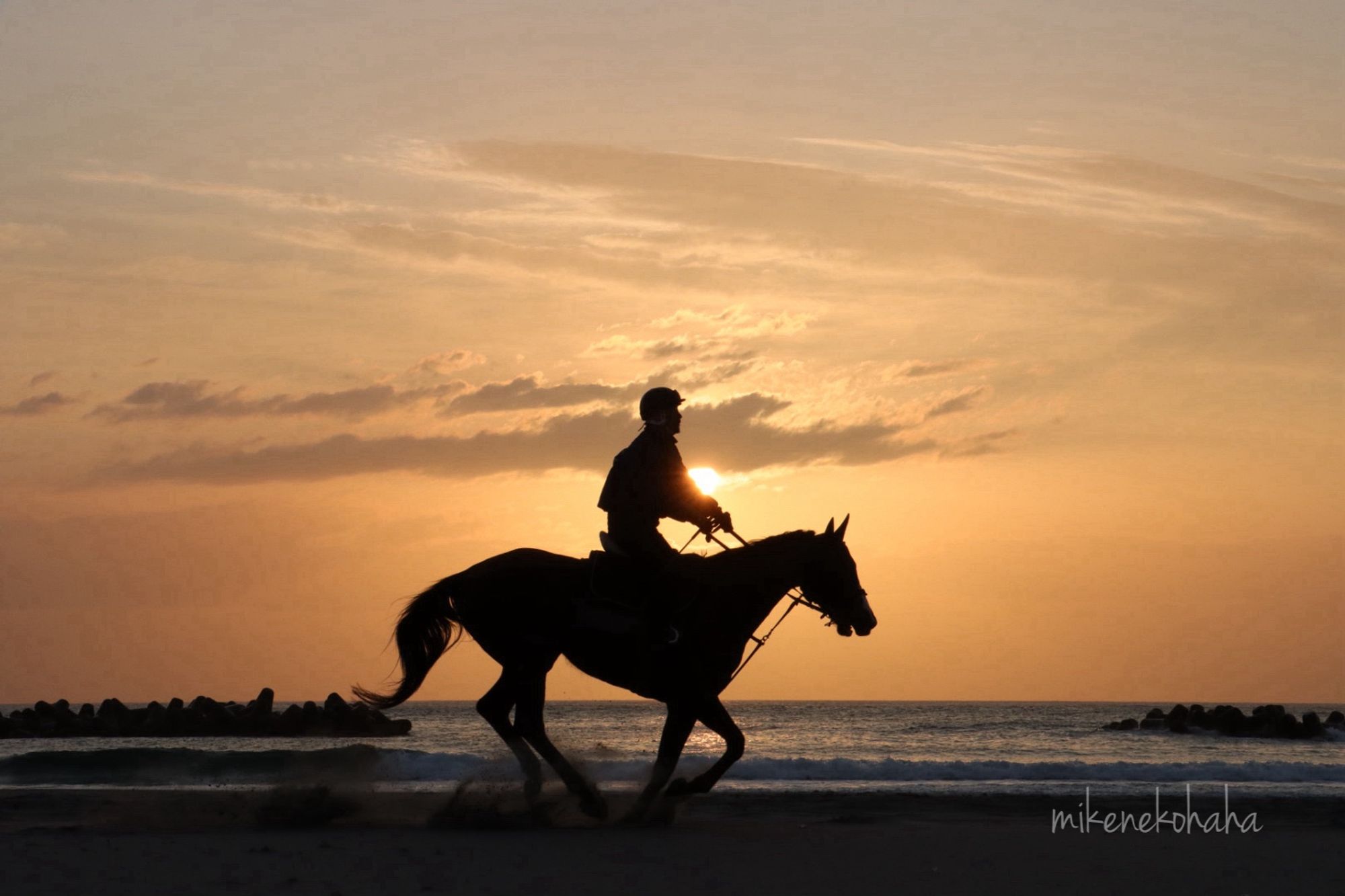 烏崎海岸での朝の練馬。
砂浜で馬を走らせて、相馬野馬追に向けてコンディションを整えます。