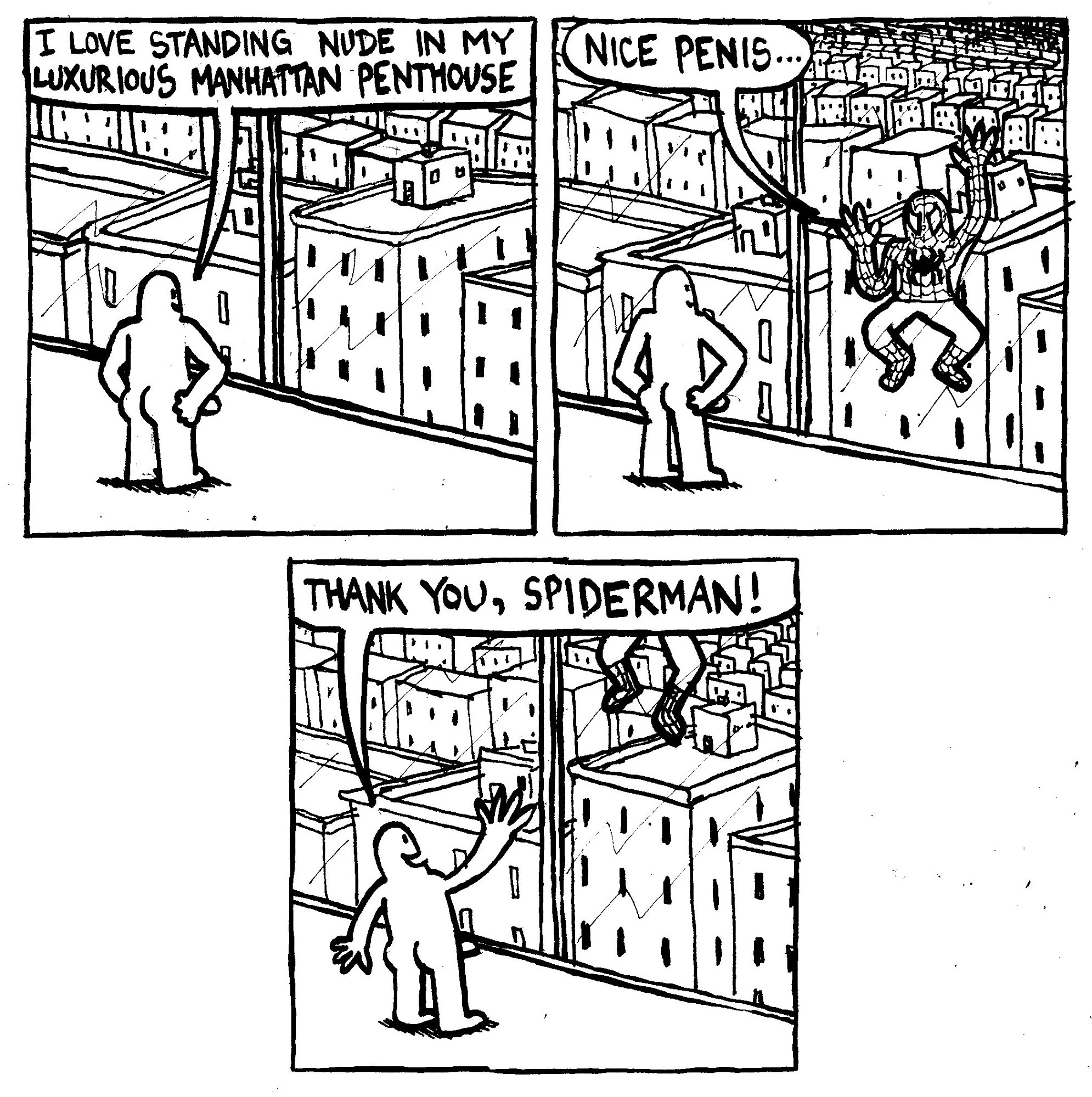 A man stands naked at a window overlooking New York City, arms akimbo. He says "I love standing nude in my luxurious Manhattan penthouse." Spiderman crawls up the window and says "nice penis..." The man says "thank you Spiderman!"