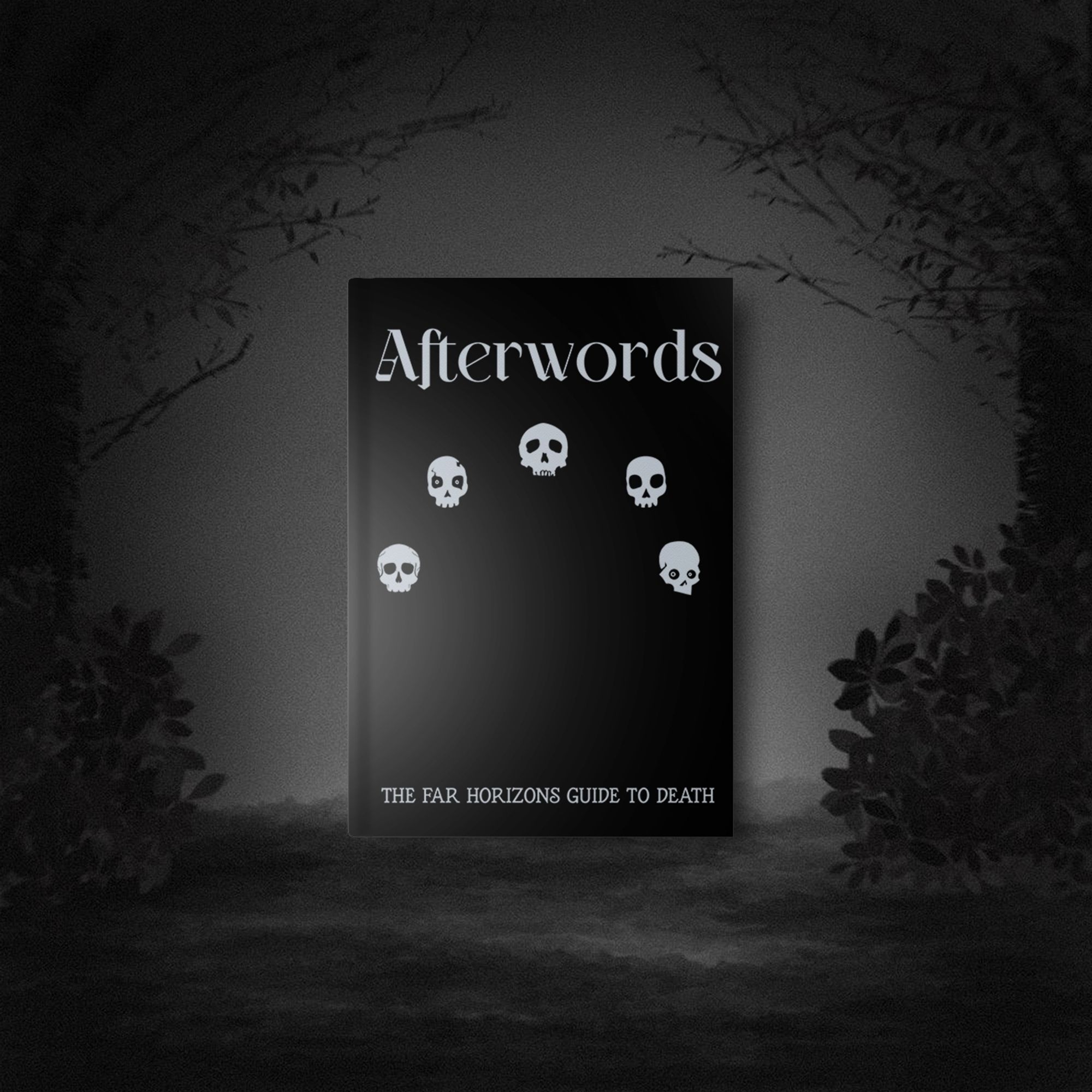 Mock-up of AFTERWORDS hardcover on a gloomy background of trees and misty landscapes.