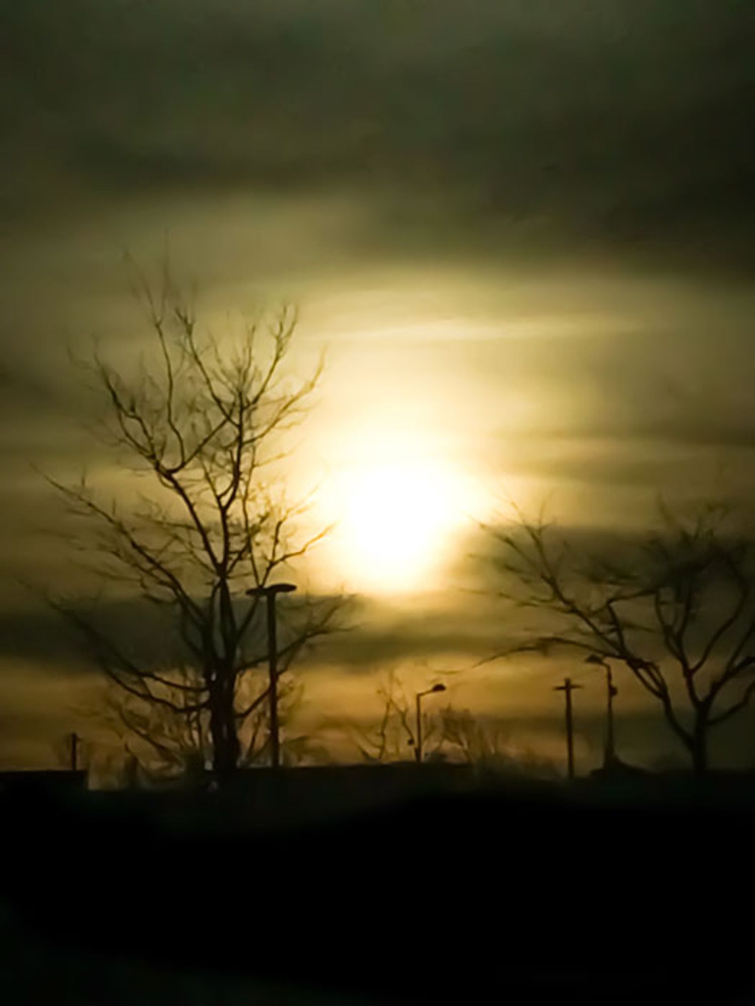 Black and dark yellow sunset with clouds. Silhouette of trees and lampposts cover about a third of the photo.