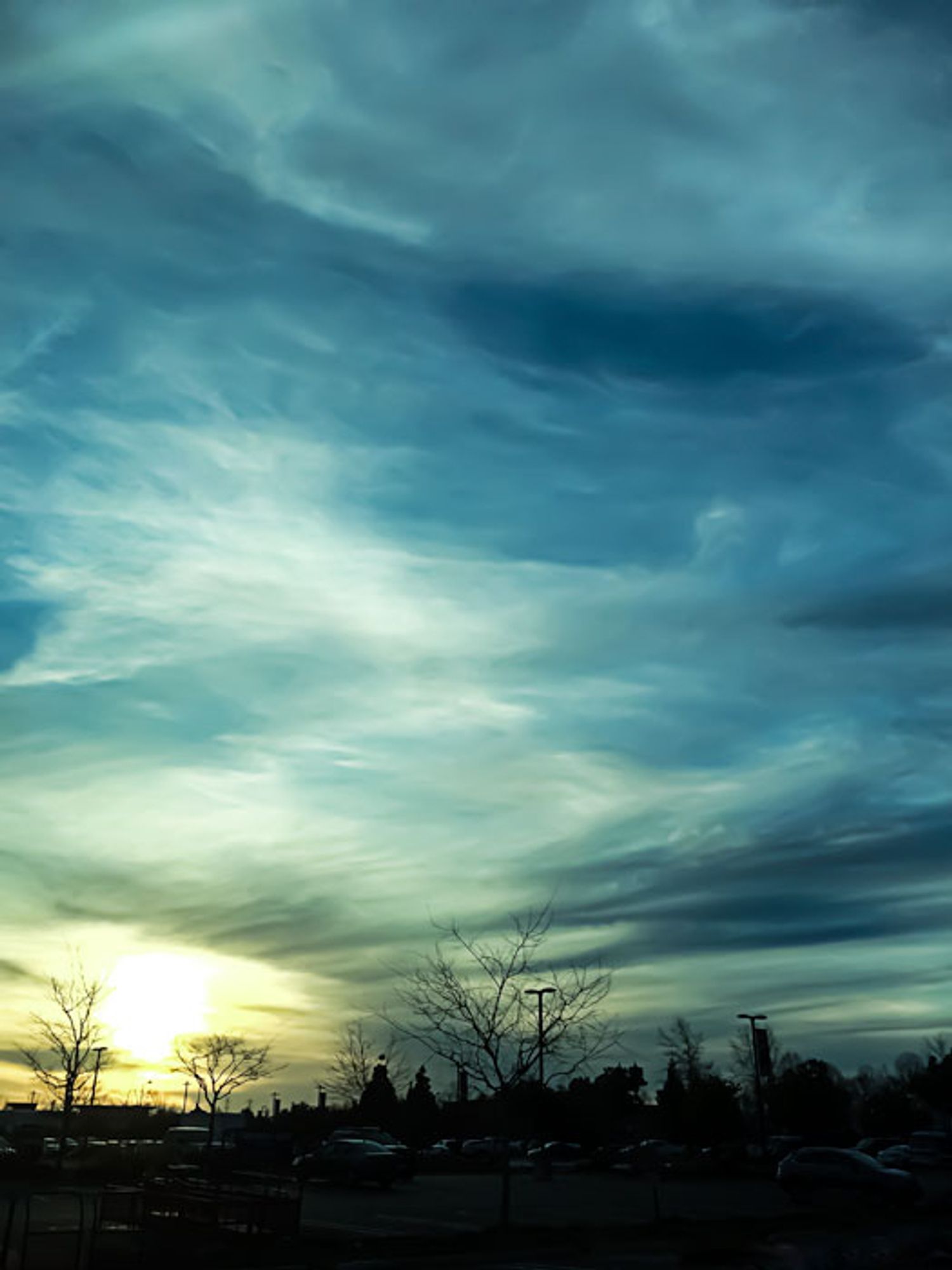 Blue and yellow sunset with clouds. Silhouette of trees and lampposts at the bottom of the photo.