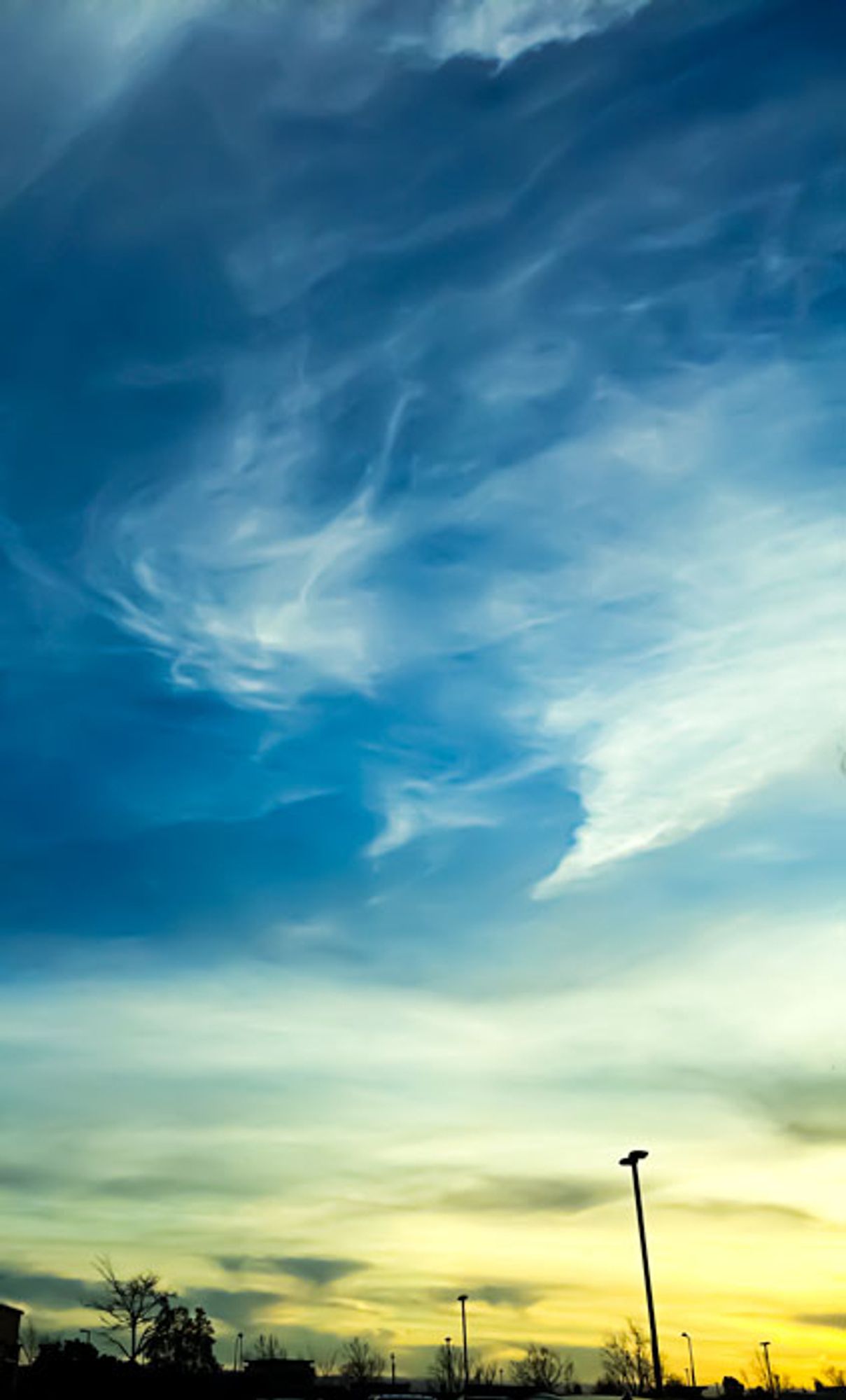 Blue and yellow sunset with clouds. Silhouette of trees and lampposts at the bottom of the photo.