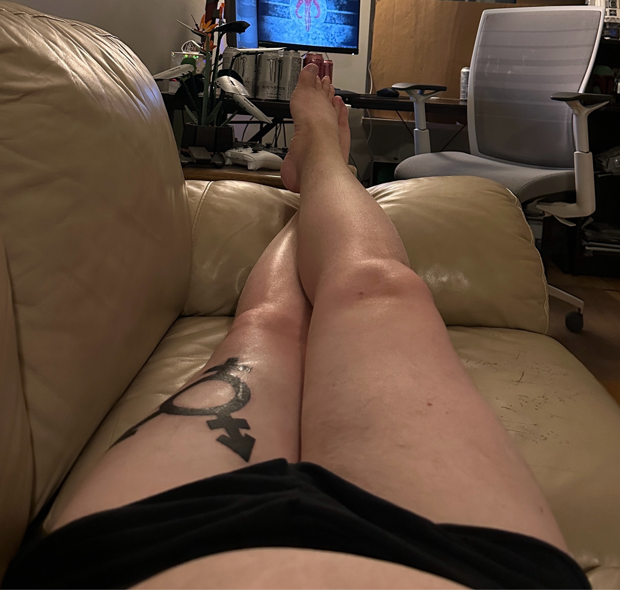 two legs stretch out on a tan leather couch, crossed at the ankles, feet up on the arm rest. the left thigh has a fresh, shiny tattoo of a trans symbol. the legs are sticking out of black underwear, a bit of tummy is exposed. a desk and computer monitor with a chair can be seen in the back ground