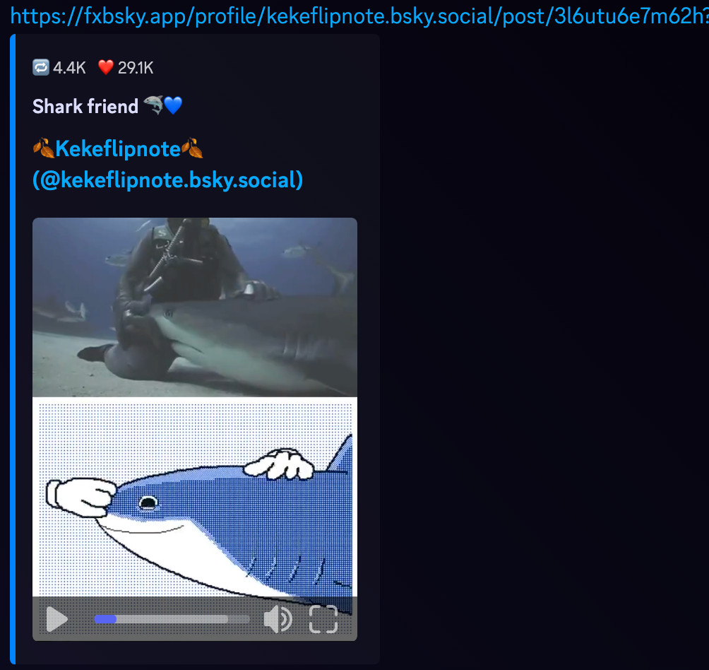 Video by @kekeflipnote.bsky.social of an actual shark and a flipnote animated shark