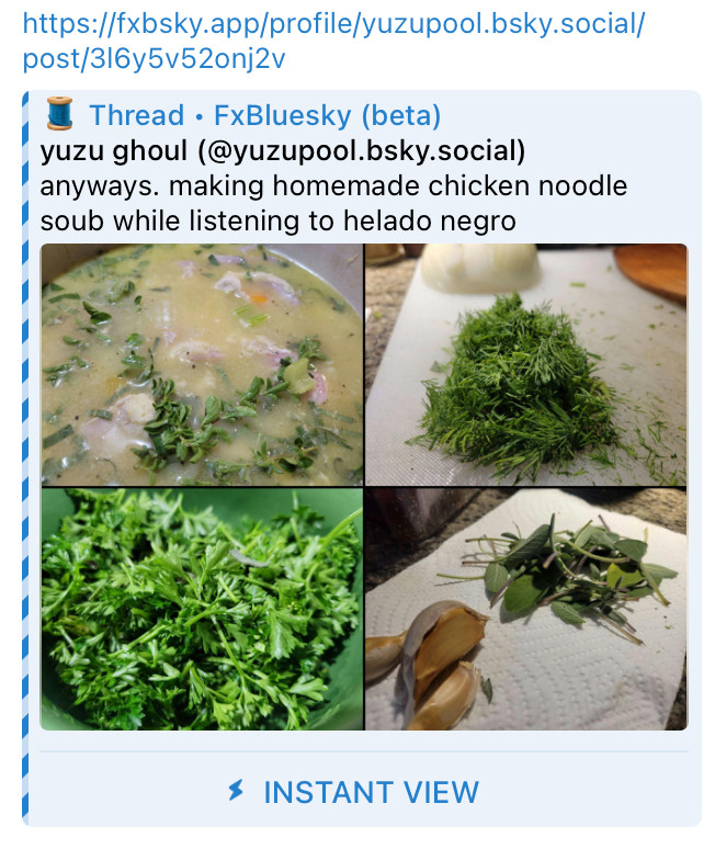 A 4-image post by @yuzupool.bsky.social regarding making chicken noodle soup 