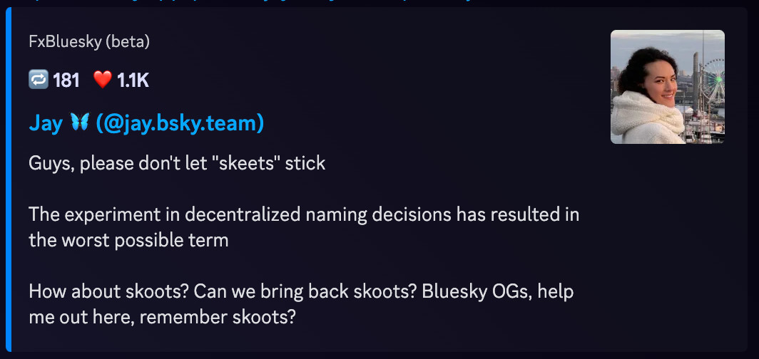 Post from @jay.bsky.team regarding the term "skeets"