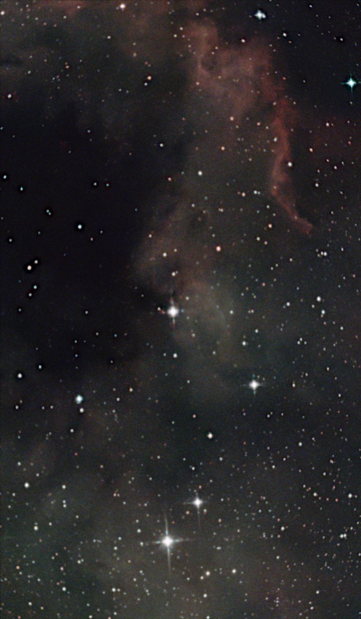 The North American Nebula, a combo of a diffuse green background, some red foreground clouds on the right , and a dark dust cloud on the left