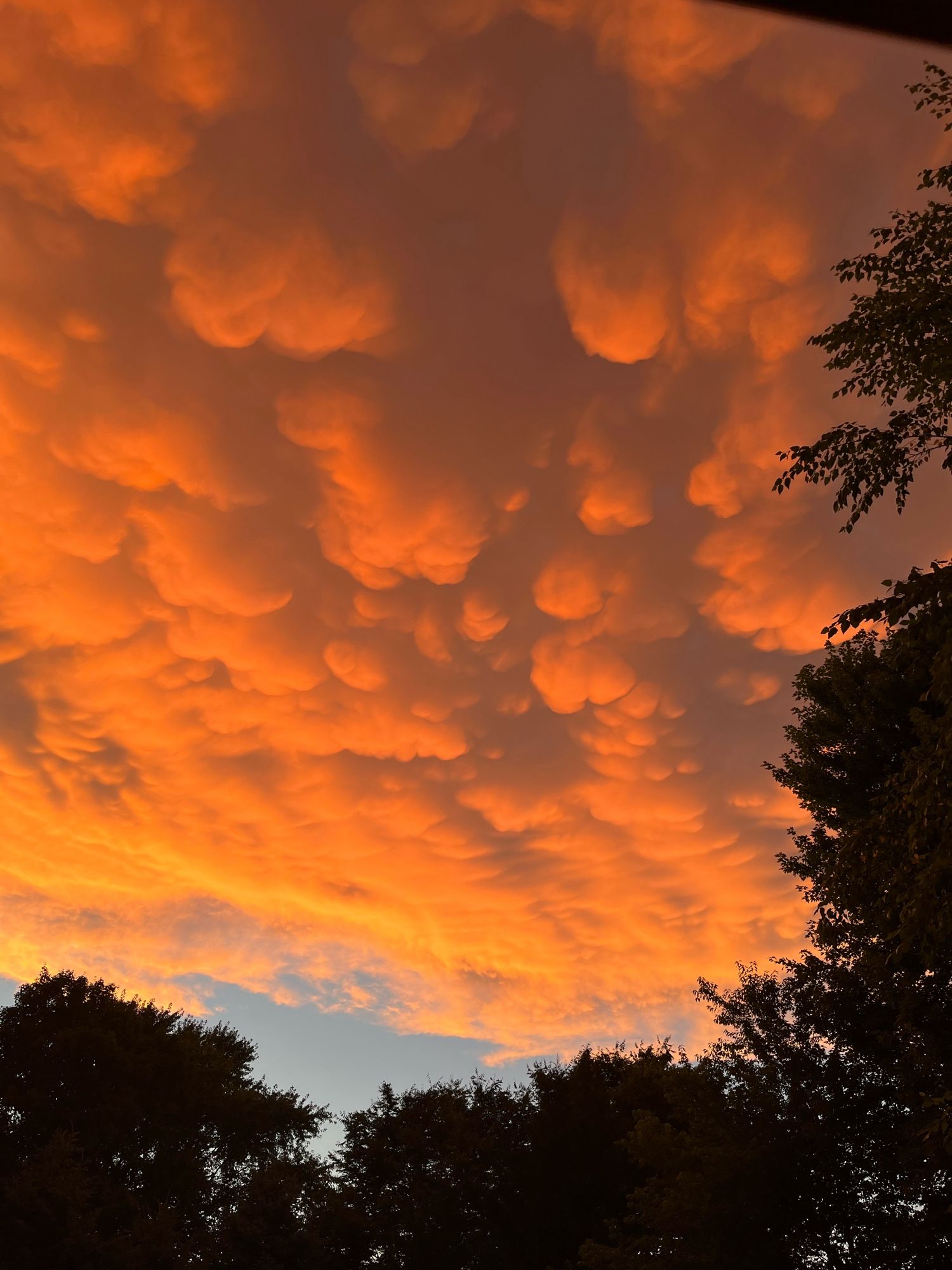 Clouds at sunset