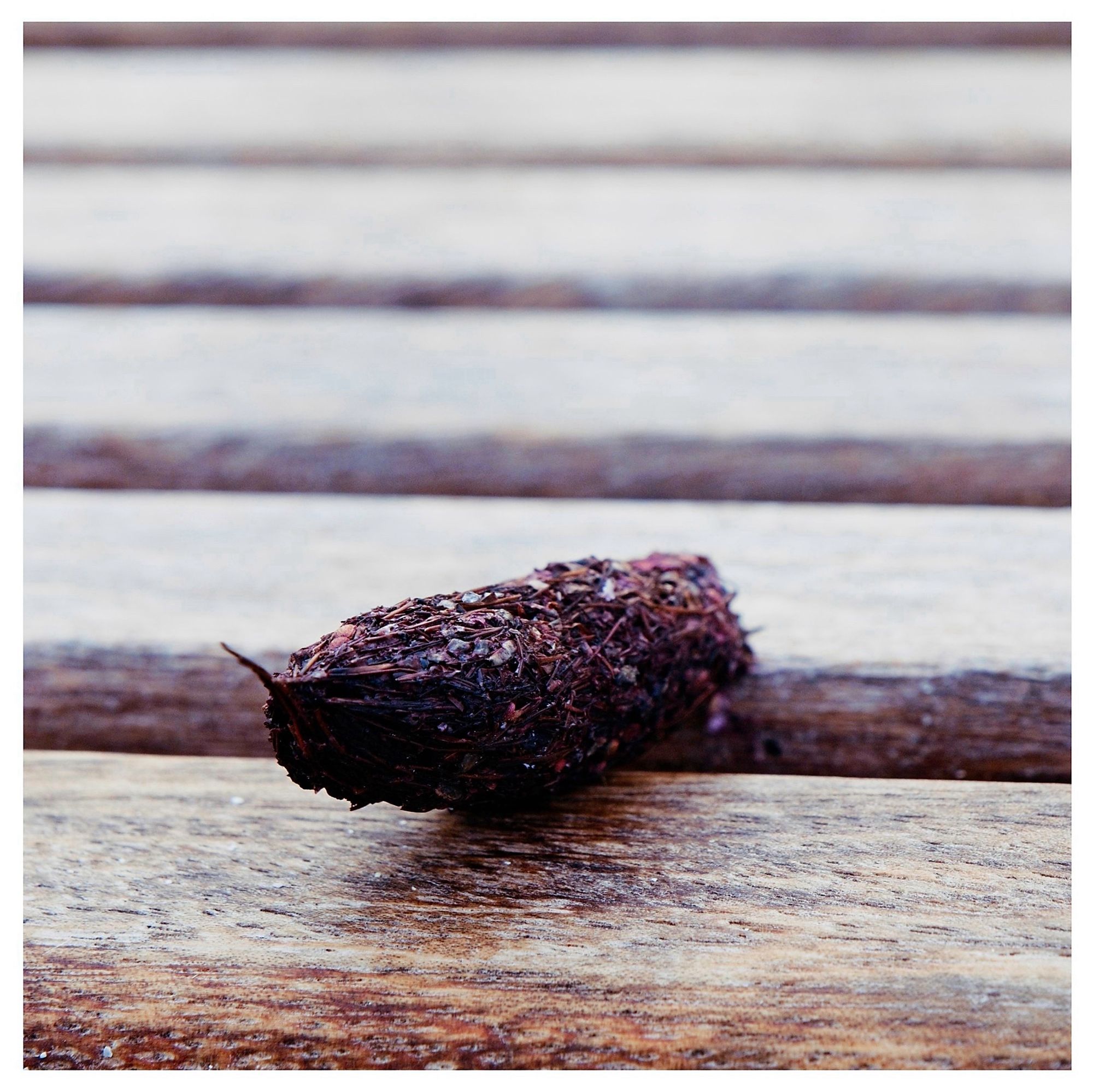 Otter poop on the wooden bench. One of three parcels left to reserve this seat.