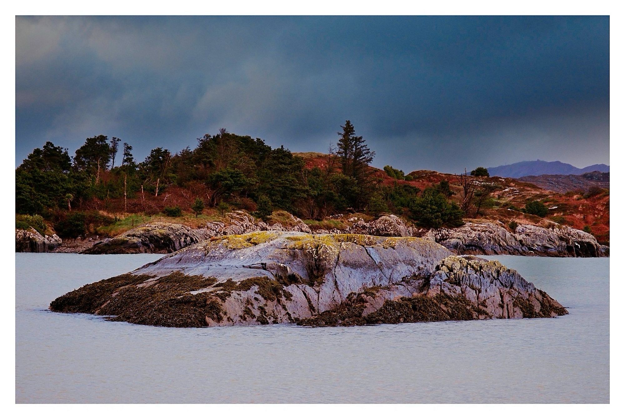 Foreground: Milky grey calm waters with a large purple tinged rock fringed with seaweed at the bottom and topped with lichen. 

Across the other side of the cove the coastline rises behind the rock noted above. Evergreen trees, yellow and reddish shrubs. Further back in the distance to the right a darker purple mound if Mount Gabriel. 

All beneath a blue grey rain clouded sky.