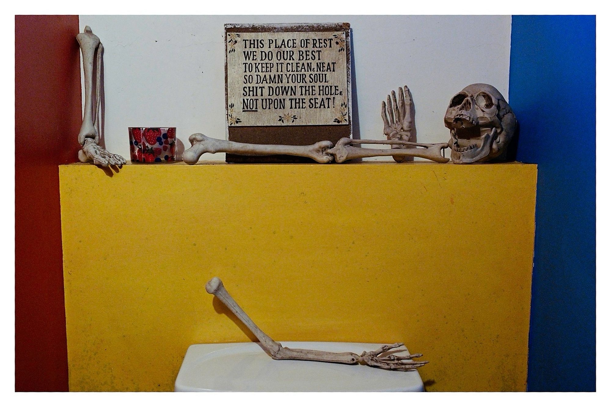 Red wall (left), Yellow (lower centre), White (top centre), Blue (right) walls with a toilet cistern top in the lower centre. 

Where the yellow and white meet forms a shelf. On the shelf are an assortment of fake skeleton parts and a sign that reads:

“THIS PLACE OF REST.
WE DO OUR BEST TO KEEP IT CLEAN AND NEAT SO DAMN YOUR SOUL SHIT DOWN THE HOLE. NOT UPON THE SEAT!”

Which gives a clue to what room this is.

An arm and hand ‘bone’ rest at an angle on the cistern top.